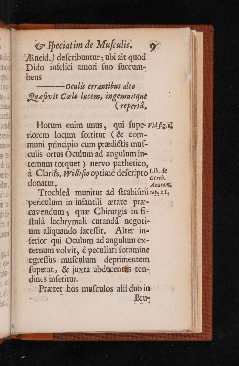     e Speciatim de Mufculis. ZEneid.) defcribuntur, ubi ait quod Dido infelici amori fuo fuccum- bens — —— Oculis errantibus alto Qua[rvit Celo lucem, ingemuitque | ( reperta, rorem locum ífortitur (&amp; com- muni principio cum praedictis muf- culis ortus Oculum ad angulum in» ternum torquet ) nervo pathetico, donatur, periculum in infantili etate prz- cavendum ; quz Chirurgis in fi- ítulà lachrymali curandáà negoti- um aliquando faceffit, Alter in- ferior qui Oculum ad angulum ex- ternum volvit, é peculiari foramine egreffus mufculum deprimentem fuperat, &amp; juxta abducentés cen- dines inferitur. Prater hos mufculos alii duo in EOM PU Pru-                                      