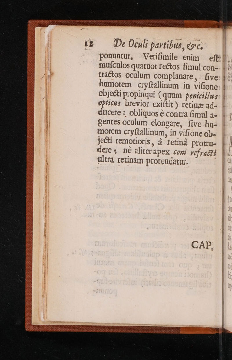  LP í  De Oculi partibus , ezc; ponuntur, Verifimile enim — eft f, | mufculos quatuor rectos fimul con-. V |. tractos oculum complanare, five: jJ humorem cryftallinum in vifione: | objecti propinqui ( quum pezici/lu s: | opticus brevior exiftit y retinze ad- | ducere : obliquos é contra fimul a-. V; l gentes oculum elonsare, five hu- | morem cryftallinum, in vifioneob- |. jecti remotioris, à retiná protru- | | | deres né aliterapex cori refratd | i ultra retinam protendatur. |            FEEREROE EUR »- d T PESE Hd VOSDAEUTERRUISH IE VYOHONSIGH Te T 1cdiccloc Jasajdd