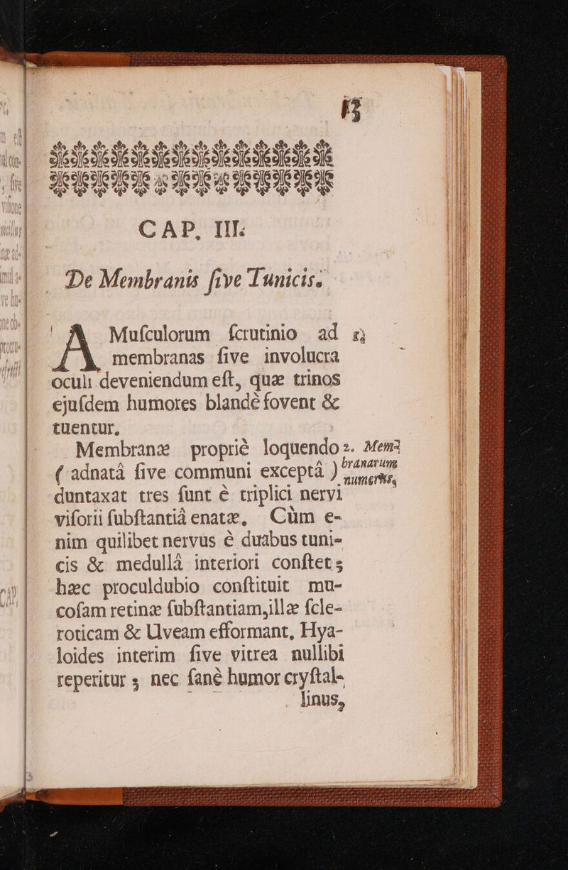    j 22 C AP, III. De Membranis five Tunicis..  A Mufculorum fcrutinio | ad 4 Y membranas five involucra oculi deveniendum eft, que trinos ejufdem humores blandé fovent &amp; tuentur, ( adnatá five communi exceptà ) duntaxat tres fünt € triplici nervi viforii fubftantià enate, ^ Cüm e- nim quilibet nervus é duabus tuni« cis &amp; medullà interiori conftet s hzc proculdubio conftituit mu- cofam retinz fubftantiam,illae fcle- roticam &amp; lUlveam efformant, Hya- loides interim five vitrea nullibi reperitur 5 nec fané humor cryftal- drdad linus, Ius                     