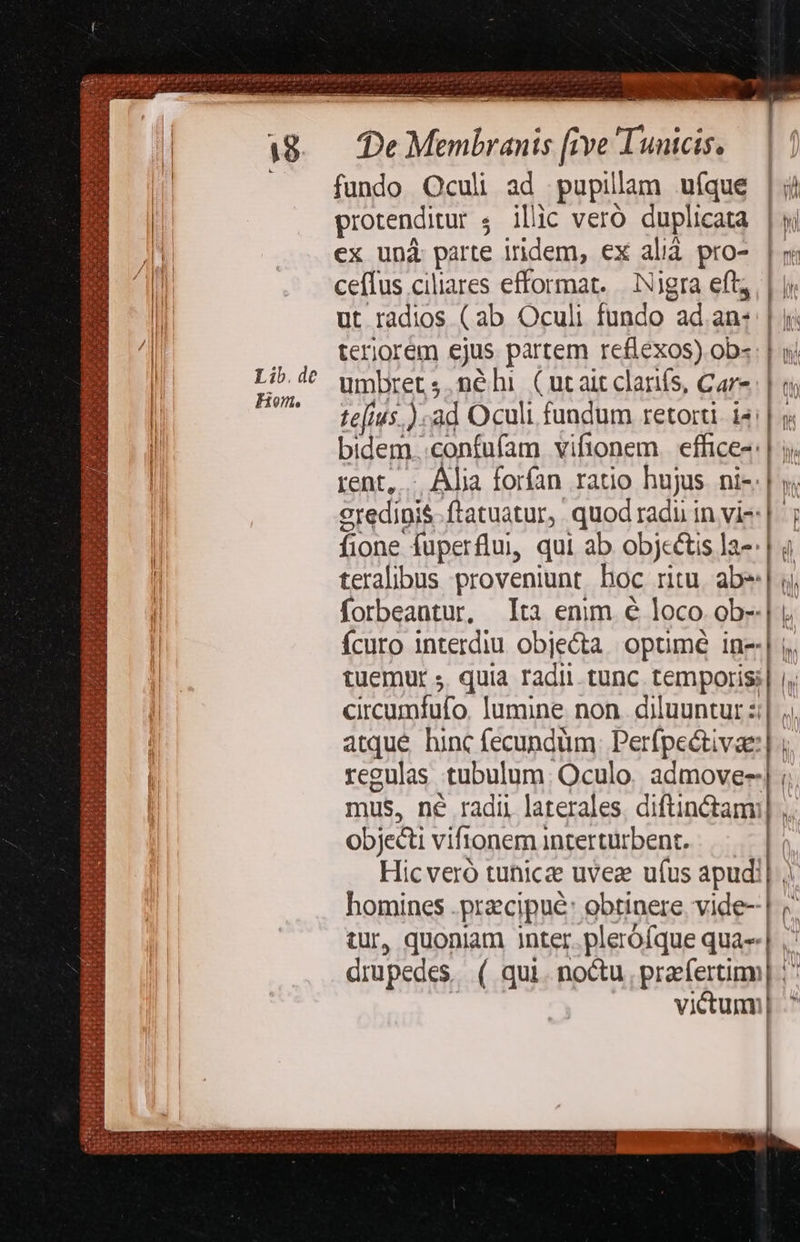                   MI  Te e Memhrenir js ye V Twoicis fundo Oculi ad pupillam uíque protenditur 4 ilic veró duplicata ex unà pue iidem, ex alià pro-. | ri ceffus ciliares efformat. Nigra eft, | ji ut radios (ab Oculi fundo ad. an: | i: teriorem Ss partem refiexos) ob« | y. umbret ;.néhi. (ut ait clanís, Care | tejuus. ). ad Oculi fundum retorti. i«;| bidem. confufam vifionem effice-: | y. rent, ... Alia forfan ratio hujus ni-.| eredipi$.ftatuatur, quod radii in vi-: | fione uperflu, qui ab objectis la-: | à teralibus proveniunt Doc ritu. abe | qu, forbeantur, lta emm € loco ob-.| íÍcuro interdiu objecta opumé in- |: i» tuemur s. quia radii tunc. temporis cicumfufo. lumine non. diluuntur : D atque hinc fecundum Perfpeétivae |. regulas tubulum; Oculo. admove- mus, né radii laterales. diftinctam: objecti viftonem interturbent. Hic veró tuhicze uveze ufus apud: homines .przecipué: obtinere vide- | tur, quoniam inter. plerófque qua | ,: drupedes ( qui. noctu MASSA j victum] ^  