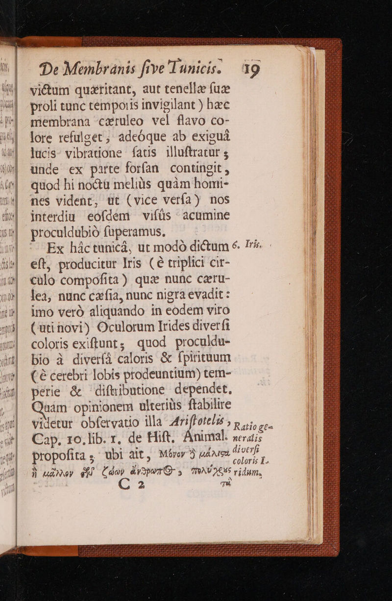 Eme. s     victum quieritant, aut tenellee fuz proli tunc temporis invigilant ) hzc membrana caruleo vel flavo co- lore refulget ; adeóque ab exiguá lucis- vibradone fats illuftratur ; unde ex pirte forfan. contingit , quod hi noctü melius quàm homi- nes vident, ut (vice vería) nos interdiu eofdem vifüs acumine proculdubio fuperamus. eft, producitur lris (é triplici cir- culo compofita) quai nunc caru- lea, nunc cxfia, nunc nigra evadit: imo veró aliquando in eodem viro (uti novi) Oculorum [rides diverfi coloris exiftunt; quod proculdu- bio à diveríá caloris &amp; fpirituum ( € cerebri lobis prodeuntium) tem- perie &amp; diftibutione dependet, uüám opinionem ulteriàis ftabilire propofita ; ubi àlt, Méívoy 5j aAA 2 T                               
