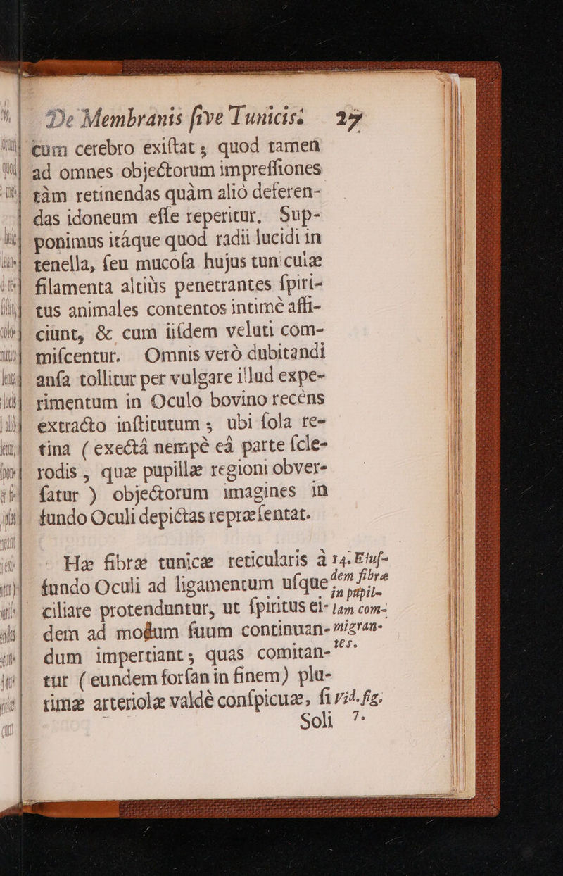   cum cerebro exiítat ; quod tamen 3d omnes objectorum impreffiones tàm retinendas quàm alió deferen- das idoneum effe reperitur, 5up- ponimus itáque quod radii lucidi in tenella, (eu mucoía hujus cun:cuize filamenta altiüs penetrantes fpiri- tus animales contentos intimé affi- ciunt, &amp; cum iiídem velun com- mifcentur. Omnis veró dubitandi anía tollitur per vulgare illud expe- rimentum in Oculo bovino recens extracto inftitutum 4. ubi fola re- tina ( exectà nempe eà parte Ícle- rodis , qua pupillae regioni obver- fundo Oculi depictas repraefentat. fundo Oculi ad ligamentum uíque tür ( eundem forfan in finem) plu- Soli                                   