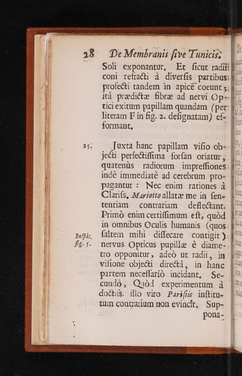  DU NN DIRE. QE RS DR Pe we Bo d ate a 2 b Puls Pt FUE UF uil, oM ETT RUM Ps X4 fas isis oit iura pie P e ae Motard ELLE At FRIES: Mte It. AT LP, » : d'y ogua joi om FM C4 XU Mod L- W Fd 3d cR ACC Hb HIS Huan GIUM ri  Ju wan Soli exponantur, Et ficut radiii]| coni refracü à diverfis partibus] profecti tandem in apice coeunt 5; f. Kà pradicte fibre ad nervi Op--[r. tici exitum papillam quandam (per literam F in fig. 2. defignatam) ef- formant, E. B. E                    Juxta hanc papillam vifio ob-. jeci perfectiffima forían oriatur, |^ quatenüs radiorum impreffiones: jadé immediaté ad cerebrum pro- F^ pagantur: Mec enim rationes à ] Clarifs, Mariotto allatae me in fen». 1^ tentiam contraram defle&amp;ant. | Primó enim certiffimum eft, quód ] in omnibus Oculis humanis (quos; f fatem mihi diffecare contigit ).] nervus Opticus pupille &amp; diame-, tro opponitur, adeó ut radii, ja |?! vifone obje&amp;i dire&amp;á, in hanc | partem neceffarió incidant, Se- | cundó, Qasód experimentum à | doctus. illo viro Pars(us inftitu- tim contrarium non evincit, Sup- pona- 
