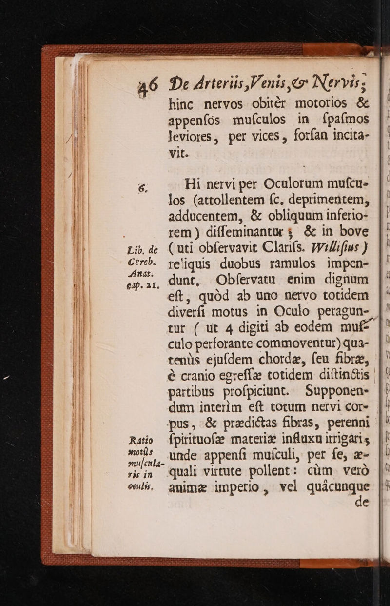* bis ires irs 655 xp qsgqufer giten RUPEE URN Rite cvi PETAT SORTS d d Fu w Á van ^ i e Mn ab MO roni NE Sv B OTON : he cuir So cdi) Ax 2 (esa tais CETERO L. uet » * S ib f 12 eR ' T^ Hl , ja. M RHHYXMMIOU HIS ZOLERIURT ERGO o ud dts DORPEERN AÓ Ratio snot: onu[cnla- rp in eeulss, hinc nervos obitér motorios &amp; appeníós mufículos in fpa(mos leviores, per vices, forfan incita- vit. Hi nervi per Oculorum mufcu- los (attollentem fc, deprimentem, adducentem, &amp; obliquum inferio- rem ) diffeminantur $ &amp; in bove ( uti obfervavit Clarifs. Wiliifms ) re'iqus duobus ramulos impen- dunt, Obíervatu enim dignum eft, quód ab uno nervo totidem diverfi motus in Oculo peragun-. tur ( ut 4 digiti ab eodem muf^- culo perforante commoventur) qua- tenüs ejufdem chordz, feu fibrae, é cranio egreffze totidem diítin&amp;is | partibus profpiciunt. Supponen- dum interim eft totum nervi cor- Ípirituofze materi? influxu irrigaris unde appenfi muículi, per fe, z- quali virtute pollent: cüm veró anime imperio, vel qun 