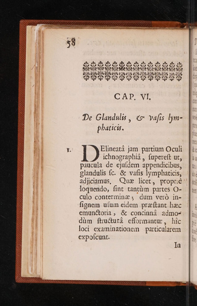    2os5p5QzSssbdd6s ITITq DIDI Tp CADCVT De Glandulis , €» vafis lym- phaticts. x. | WElineatà jam partium Oculi ichnographià , fupereft ut, paucula de ejuídem appendicibus, glandulis fc. &amp; vafis lymphaticis, adjiciamus, Qum licet, proprie loquendo, fint tantüm partes O- culo contermina , dum veró in- fisnem uíum eidem przftant hac emunétoria; &amp; concinnà admo- düm ftru&amp;urá efformantur, hic loci examinationem particularem expolcunt. PBRMA Du HRSGOERG ] HOGEUM GG EAR yc EFE EO 2630 P NEP Mi 