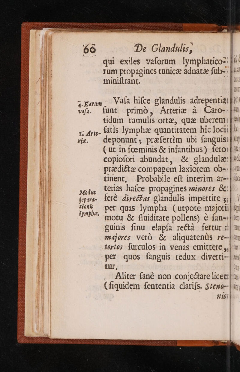  | iji De Glandulis, | qui exiles vaforum lymphatico- [//: rum propagines tunicae adnatae fub- | i^ miniftrant. e s MR woo) cn ep es OR AS M: HN CH Se eres i  E 4E; Vafa hifce glandulis adrepentiai vifa. Íunt primó, Arterie à Caro- | tidum ramulis orte, qua uberem [ y An fais lympha quantitatem bic loci | 4 víe. — deponunt, prafertim ubi fanguis: | 4! ( ut in foeminis &amp; infantibus) fero» | t copiofori abundat, &amp; glandulze:|*5 praediétz compagem laxiorem obs | iii tinent, Probabile eft interim ar- | t ^i, eras hafce propagines zzinores &amp;: fpara-. fer&amp; direcfas glandulis impertire 5|. | tmp, Pet quas lympha (utpote majorii| Ja motu &amp; fluiditate pollens) é fan- guinis finu elapía rectà fertur x: majores vero &amp; aliquatenüs re- tortos Íurculos in venas emittere ,, | per quos (anguis redux diverti-| im. tur, Aliter fané non conjectare licet | t; (fiquidem fententia claris. $£eso--| v as a sia ta: UH JEREREOSOUO jit : ——OX3PIXLEEJSR T *à exe d «adt LPSPS — imis ! » | IGSBITHEPEE EDS EI d eias de o EA PAPAHILT 