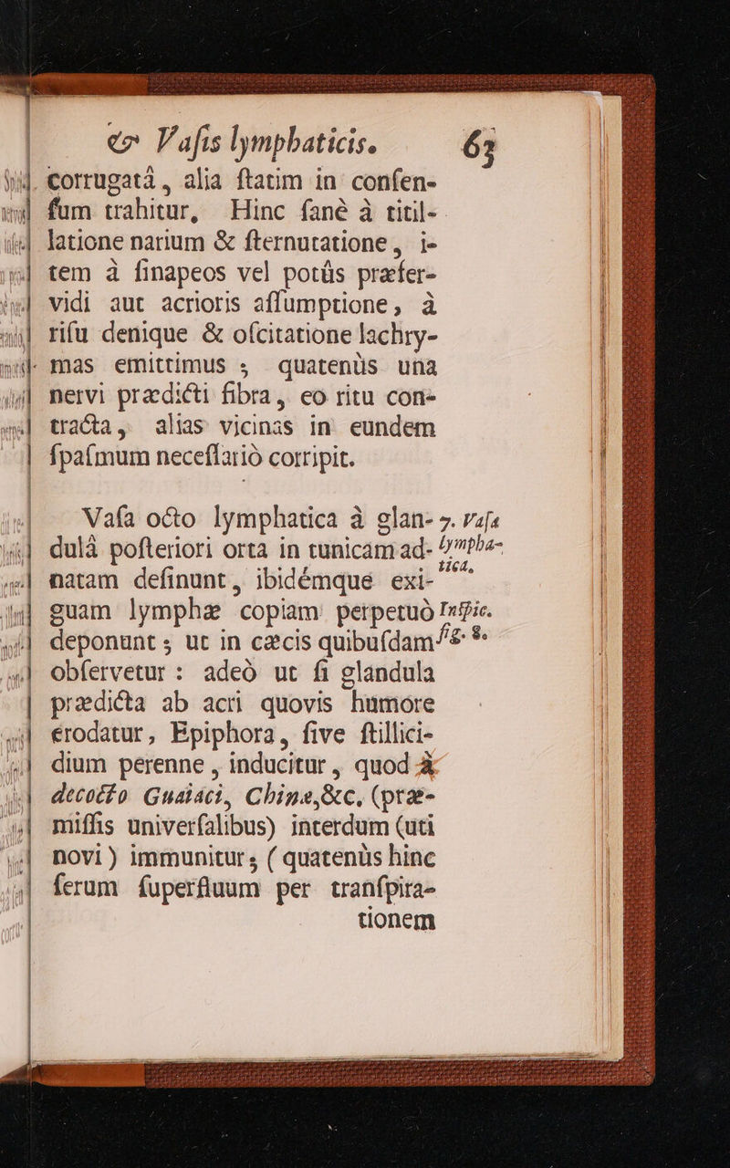    TERM e V afts lympbaticis. fum trahitur, latione narium &amp; fternutatione, i- tem à finapeos vel potüs praffer- vidi aut acrioris affumptione, à riu denique &amp; oícitatione lachry- quatenüs. una nervi praedicti fibra, eo ritu con- tracta, alis vjcinas in. eundem Ífpaímum neceflarió corripit. 6; e Obfervetur : adeó ut fi glandula praedica ab act quovis humore €rodatur, Epiphora, five ftillici- dium perenne , inducitur, quod À decotfo Gualáci, Chipe,&amp;c, (ptae- nmiffis univerfalibus) interdum (uti novi) immunitur ; ( quatenüs hinc ferum fuperfluum per tranfpira- tionem                      