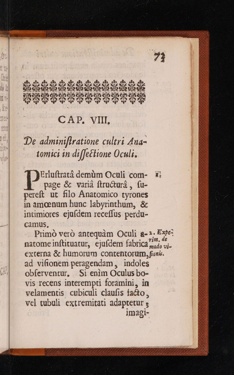    Sese ed S e de a d e DII UIPITITIIQ CAU. VIIL De adminiflratione cultri Aua- tomici in diffe£tione Oculi. Erluftratá demüm Oculi com- - page &amp; vari ftructurá , (u- pereft ut filo Anatomico tyrones in amoenum hunc labyrinthum, &amp; intimiores ejufdem receffus perdu- camus, Primó veró antequàm Oculi a- natome inftituatur, ejufdem fabrica  2. Expe- vim. de modo vie             