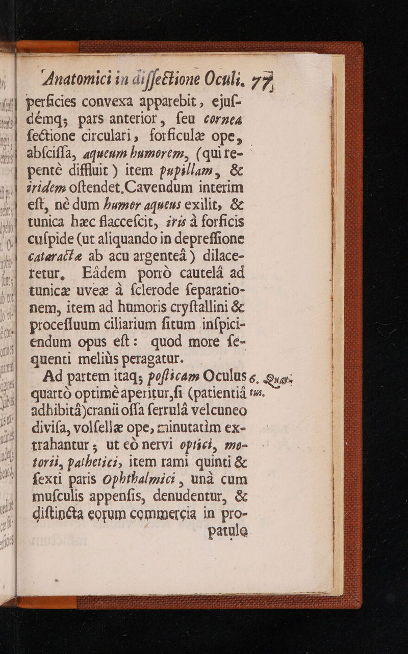      í ] í n | la^ q f I [)  V ns |) | n xl anl ; 2 | D 1j Lew ] |   perficies convexa apparebit, ejuf- démq; pars anterior, feu corzea4 fectione circulari, forficulze ope, penté diffluit) item pepillam, &amp; ?ridem oftendet, Cavendum interim eft, né dum Jumer aqutus exilit, &amp; tunica hac flaccefcit, zr; à forficis retur, Eidem porró cauteli ad tunice uvez à Íclerode feparatio- nem, item ad humoris cryftallini &amp; proceffuum ciliarium fitum infpici- endum opus eft: quod more fe- quenti meliüs peragatur. adhibita )cranit offa ferrulà velcuneo diviía, volfellae ope; zainutatim ex- trahantur; ut có nervi optiei, mo- torii, palbetici, item rami. quinti &amp; fexti paris Ophtbalgici , unà cum mufculis appenfis, denudentur, &amp; diftipcta eorum commercia in pro- patulo         AR iki a eciam cczLIUU abemus
