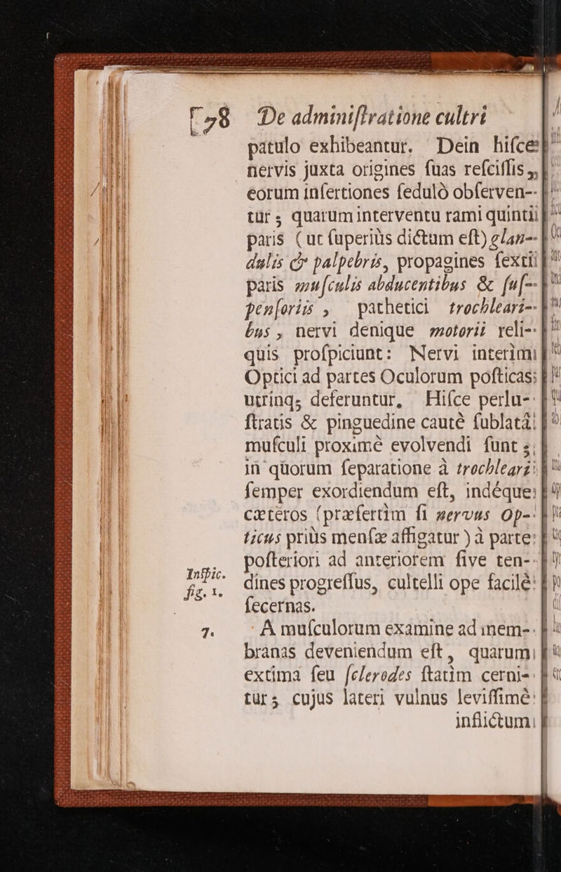 F28 Deadminifiratione cultrt | pitulo exhibeantur, Dein hifce nervis juxta origines fuas refciflis J| eorum 1infertiones feduló obferven-- |! tü'$ quaruminterventu rami quinti [^ paris (ut (uperiüs dictum eft) glan-- | dulis c palpebris, propagines fextii |^ pais sn[culis abducentibus &amp; fu[-- V pen[ori , pathetici trochblearz-- | í»s5 , nervi denique »otorii reli-: |  quis profpiciunt: Mervi interimi | Optici ad partes Oculorum pofticas; |! uttinqs deferuntur, Hiíce perlu- |! ftratis &amp; pinguedine cauté fublatà; |  mufculi proxime evolvendi funt s; | in quorum feparatione à trochlearz; |  femper exordiendum eft, indéque: | / caeteros (praefertim fi servus 0p-' | fic: prius menfz affigatur ) à parte: | ^ pofteriori ad anteriorem five ten--] dines progreffus, cultelli ope facilé: E) fecernas. | A muículorum examine ad inem- | : branas deveniendum eft, quarum; |! extima feu feleredes ftatim cerni- turs cujus lateri vulnus leviffime | infiiétum. T. x E dus r5 voee ridi n5 da gum d. Mimi . : n X AMI A CANIS pa dd ta: jà (43 je 