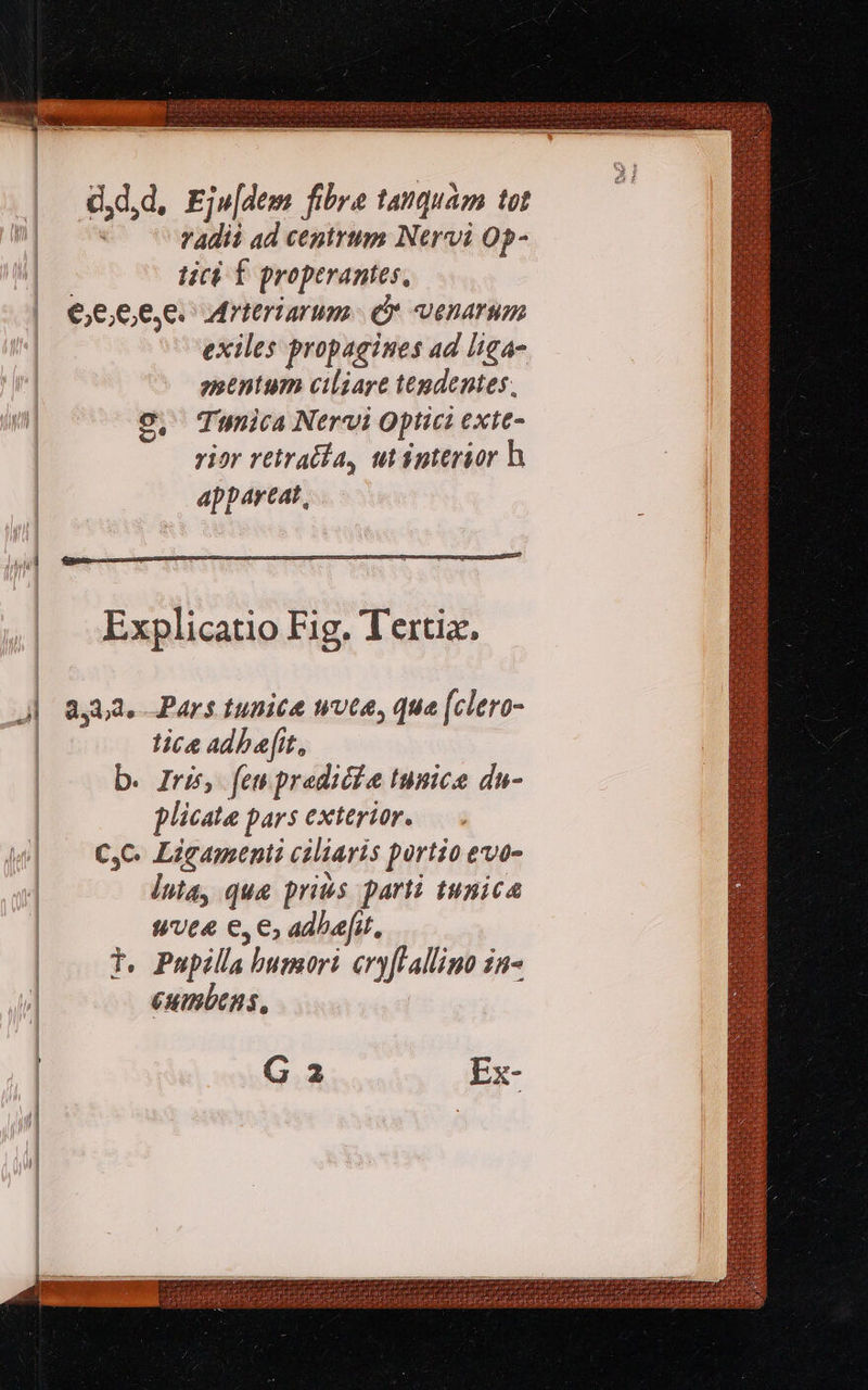    ddid, Ejw[dem fibre tanquam tot YAdii ad cegirum Nervi 0p- ticb f properantes, £,6,6,e. 6 Arteriarum- e venarum exiles propagines ad liga- snentum ciliare tegdentes, | o, Tunica Nervi Optic exte- | rior retraila, ut interior h | appareat,  | 8453.—Pars tunica wvte, que [clero- | tice adbe[it, | b. Iris, fem pradicie tunice du- plicata pars exterior. CC. Ligamtnti ciliaris portio evo- Inte, que prits parti tunica trt&amp; €, €, adbafit, T. Pupilla bumori cryfallino in- eumbens, G a2 Ex-                