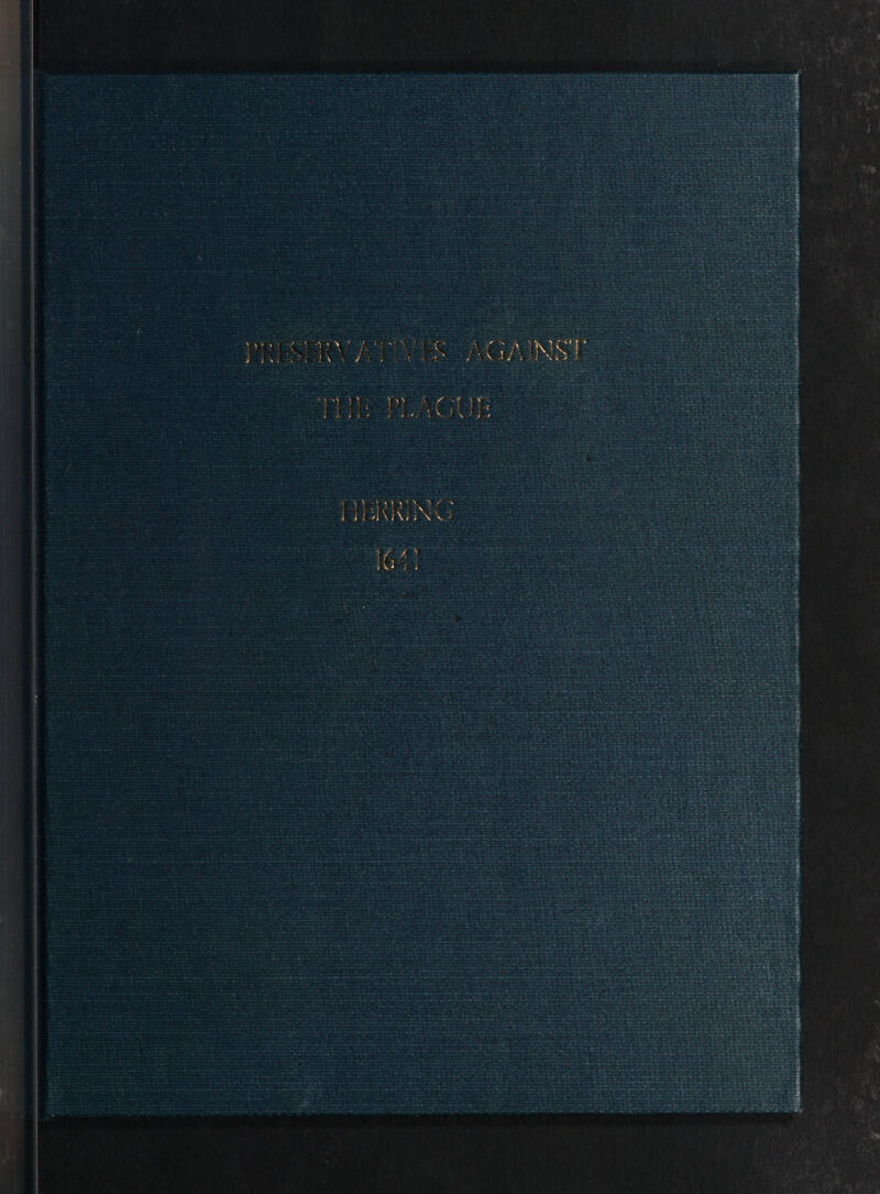 ‘1 1 V' ■ r v- - > / / v, V , •• • ^ T •'' v- > ^ N i j l *, \ i \ > i X v ■