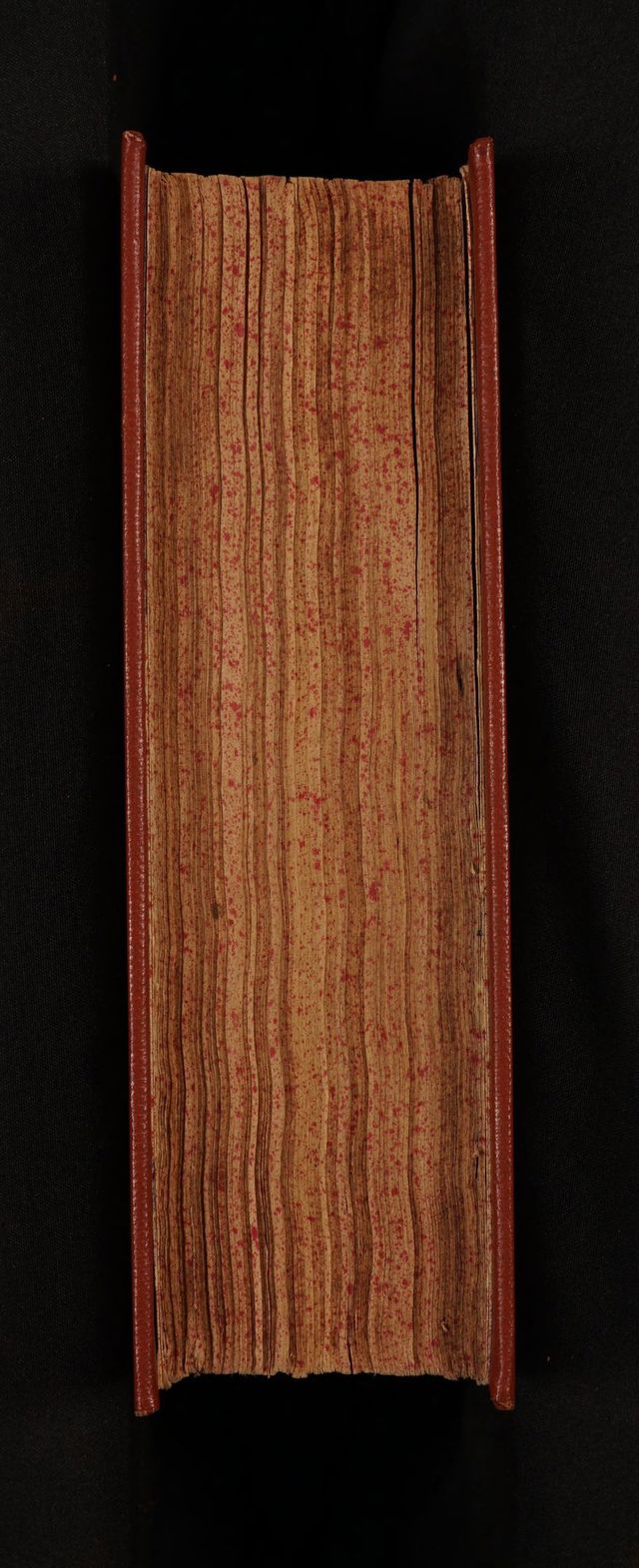 digitised image 3