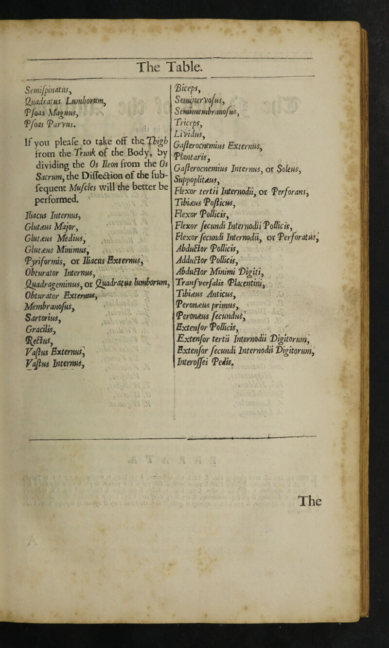 The Table. Semifpinat its, Quadrat us Lumbomn, Pjoas Magnus, Pfoas P ary us. i , If you pleafe to take off the Thigh from the Trunk of the Body, by dividing the Os lleon from the Os Sacrum, the Diffe&ion of the fub- fequent Mufcles will the better be performed. Hiacus Interms) Glutens Major, Gluteus Me dins, Gluteus Minimus, Pyriformis, or Hiacus Ext emus, Obturator Intermit, Quadrageminus, or Quadratics lumborum, Obturator Externus, * ' . Membranofus, Sartorius, * Gracilisy IRjBuSy Vaflus Ext emus] Vajlus Intermsy | Biceps, SemincrVofus, Semimembranofu, Triceps, LiVidus, Gajlerocnemius Ext emirs, Blantar is, Gajlerocnemius Interim, or Soleus, Suppopliuus, Plexor tertii Internodii, or Perforans, Thirties Pofticus, Flexor Pollicis, Flexor fecundi Internodii Polite is, Plexor fecundi Internodii, or Perforate AbduBor Pollicis, AdduBor Pollicis, AbduBor Minimi 'Digiti, Tranfverfalis Placentini, Tibirtus Anticus, Peronxm primus, Peroiuus feemdus, Exten/or Pollicis, Extenfor tertii Internodii Tigitorum, Extenfor fecundi Internodii Vigitorum, Interojfei Pedis. The