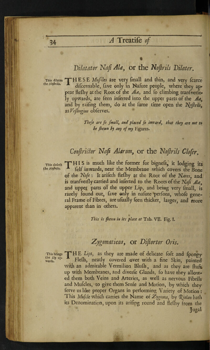Dilatator Nafi AU, or the Nofirils Dilator. This dilates TT H E S E Mufcles are very (mail and thin, and very fcarce the No/iriis. difcernable, lave only in Nafute people, where they ap¬ pear flefliy at the Root of the AU, and fo climbing tranfverfe- ly upwards, are feen inferted into the upper parts of the AU> and by railing them, do at the fame time open the Hpjlrils, as Vefiingjm obferves. Theje are fo finally and placed fo inward, that they are not to le Jhewn by any of my Figures. Confiriclor Nafi Alarum, or the Nofirils Clofer, This dofeth lT HI S is much like the former for bignefs, it lodging its tht No/iriis. A felf inwards, near the Membrane which covers the Bone of the Nofe: It arifeth flefliy at the Root of the Nares,, and is tranfverfly carried and inferted to the Roots of the Nafi and upper parts of the upper Lip, and being very fmall, is rarely found out, fave only in nafute perfons, whole gene¬ ral Frame of Fibres, are ulually leen thicker, larger, and more apparent than in others. s This is (hewn in its place at Tab. VII. Fig. I. Zygomaticus, or Diftortor Oris. This brings 'T' H E Lips, as they are made of delicate fofc and fpongy wards.^ up* Flefh, neatly covered over with a fine Skin, painted with an admirable Vermilion Blufli, and as they are Unfit up with Membranes, and diverfe Glands, fo have they allow¬ ed them both Veins and Arteries, as well as nervous Fibrils and Mufcles, to give them Senfe and Motion, by which they ferve us like proper Organs in performing Variety of Motion : This Mufcle which carries the Name of Zygoma, by <l(io[an hath its Denomination, upon its arifing round and flelhy from the Jugal W ' ‘j