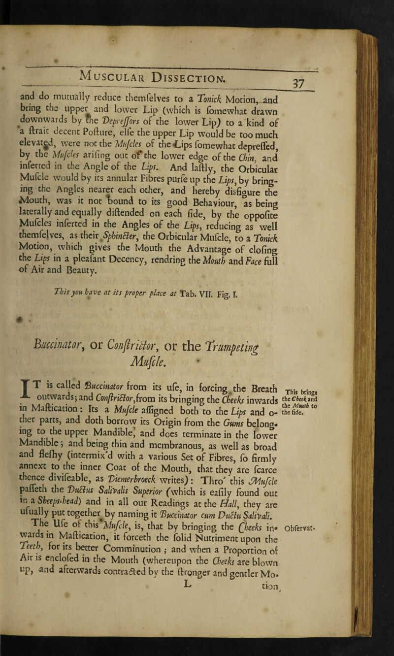 .. -;—- _— and do mutually reduce themfelves to a Tonick Motion, and bring tlis upper and lower Lip (which is lomewhac drawn downwards by the Deprejfors of the lower Lip} to a kind of a ftrait decent Pofture, elle the upper Lip would be too much elevatgd, were not the Mufcles of the Lips fomewhat depreffed, by the Mufcles arifing one of the lower edge of the Chin, and inferred in the Angle of the Lips. And laftly, the Orbicular Mufcle would by its annular Fibres purfe up the Lips, by bring¬ ing the Angles nearer each other, and hereby disfigure the ^4outh, was it not Iround to its good Behaviour, as being laterally and equally diftended on each fide, by the oppofite Mufcles inferred in the Angles of the Lips, reducing as well themfelves, as their Sphincter, the Orbicular Mufcle, to a Tonick Motion, which gives the Mouth the Advantage of doling the Lips in a pleafant Decency, rendring the Mouth and Face full of Air and Beauty. This you have at its proper place at Tab. VII. Fig. I, Buccinatort or Confriclor, or the Trumpeting Mufcle. TT is called Buccinator from its ufe, in forcing the Breath THs „rlng, outwards; and Conflrifflor,from its bringing the Cheeks inwards in Maftication: Its a Mufcle affigned both to the Lips and o- ther parts, and doth borrow its Origin from the Gums belong¬ ing to the upper Mandible, and does terminate in the lower Mandible} and being thin and membranous, as well as broad and flefhy (intermix'd with a various Set of Fibres, fo firmly annexe to the inner Coat of the Mouth, that they are (carce thence divifeable, as Vietnerhroeck writes): Thro' this Mufcle pafleth the DuCtus SaliValis Superior (which is eafily found out in a Sbeeps.head) and in all our Readings at the Hall, they are ufually put together^ by naming it Buccinator cum DuElu Salivali. The Ufe of this Mufcle, is, that by bringing the Qheeks in® Obfcrvat- waids in Maftication, it forceth the (olid Nutriment upon the Teeth, for its better Comminution ; and when a Proportion of Air is enclofed in the Mouth (whereupon the Cheeks are blown up, and afterwards contrasted by the ftronger and gentler Mo* L tion