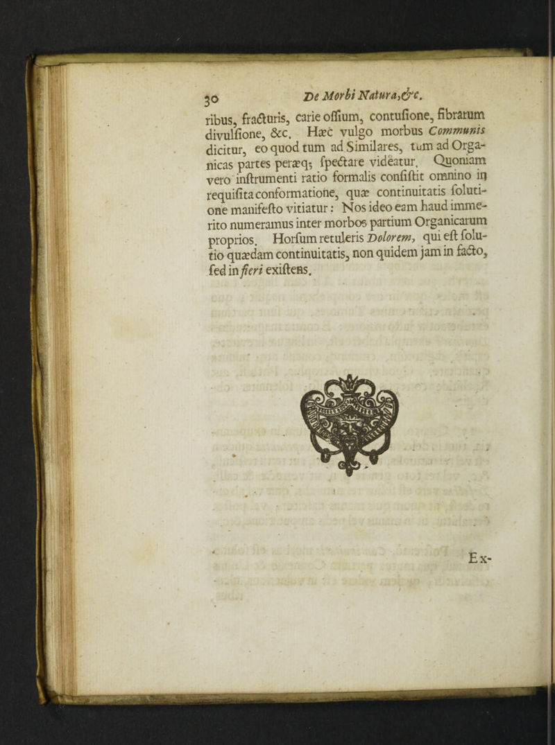ribus, fradturis, carie oflium, contufione, fibrarum divuliione, &c. Haec vulgo morbus Communis dicitur, eo quod tum ad Similares, tum ad Orga¬ nicas partes peraeq-, fpe&are videatur. Quoniam vero inftrumenti ratio formalis confiftit omnino in requifita conformatione, qua; continuitatis foluti- one manifefto vitiatur: Nos ideo eam haud imme¬ rito numeramus inter morbos partium Organicarum proprios. Horfum retuleris Dolorem, qui eft folu- tio quaedam continuitatis, non quidem jam in fadlo, fedinjfcri exiftens.