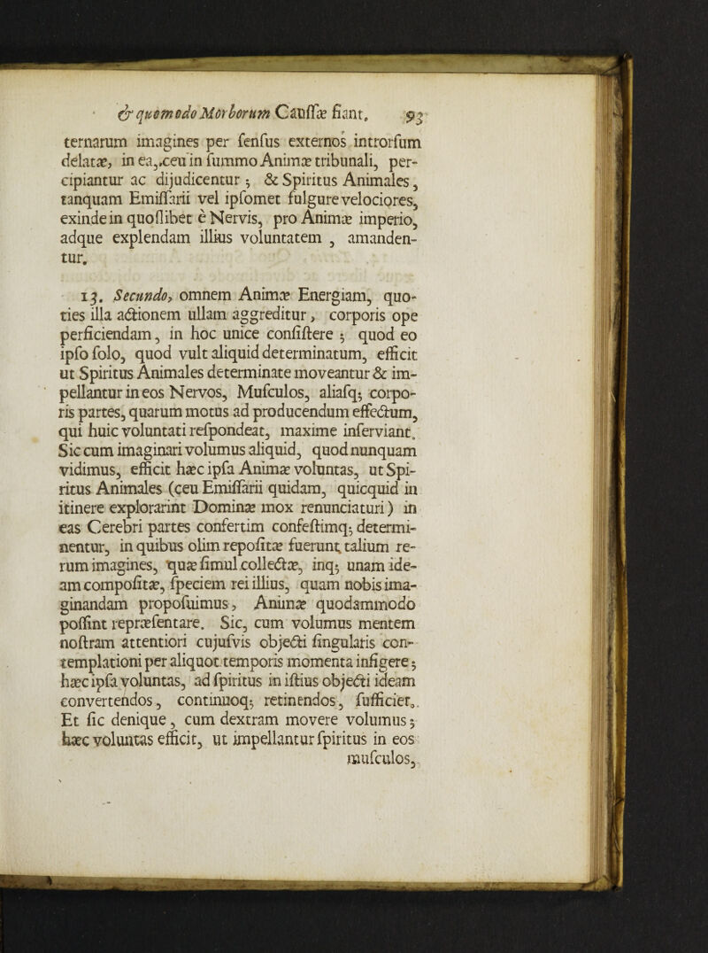 ternarum imagines per fenfus externos introrfum delatae, in ea,xeu in fummo Animae tribunali, per¬ cipiantur ac dijudicentur * & Spiritus Animales , tanquam EmifTarii vel ipfomet fulgure velociores, exinde in quoflibet e Nervis, pro Anima? imperio, adque explendam illius voluntatem , amanden¬ tur. 13. Secundo, omnem Anima? Energiam, quo¬ ties illa a&ionem ullam aggreditur > corporis ope perficiendam, in hoc unice confiftere 5 quod eo ipfo folo, quod vult aliquid determinatum, efficit ut Spiritus Animales determinate moveantur & im¬ pellantur in eos Nervos, Mufculos, aliafq- corpo¬ ris partes, quarum motus ad producendum effedhim, qui huic voluntati refpondeat, maxime inferviantc Sic cum imaginari volumus aliquid, quod nunquam vidimus, efficit haec ipfa Animae voluntas, ut Spi¬ ritus Animales (ceu Emiflarii quidam, quicquid in itinere explorarint Dominae mox renunciaturi) in eas Cerebri partes confertim confeftimq-, determi¬ nentur, in quibus olim repofitae fuerunt, talium re¬ rum imagines, 'quae fimul colledhu, inq$ unam ide¬ am compofitae, fpeciem rei illius, quam nobis ima¬ ginandam propofuimus , Anim# quodammodo poffint repraefentare. Sic, cum volumus mentem noftram attentiori cujufvis objedli fingularis con¬ templationi per aliquot, temporis momenta infigere 5 haec ipfa voluntas, ad fpiritus in iftius objedti ideam convertendos, continuoq^ retinendos, fufficier0. haec voluntas efficit, ut impellantur fpiritus in eos mufculos.