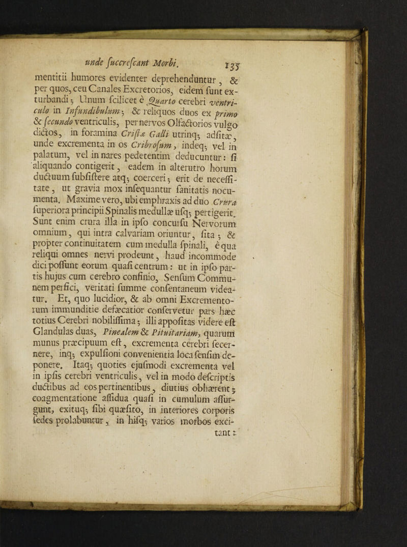 mentitii humores evidenter deprehenduntur & per quos, ceu Canales Excretorios, eidem funt ex¬ turbandi 5 Unum fcilicet e _Quarto cerebri ventri¬ culo in Infundibulum; & reliquos duos ex primo & fecundo ventriculis, pernervos Olfadtorios vul<m didos, in foramina Crifia Galli utrinq-, adime unde excrementa in os Cnbrofum, indeq- vel in palatum, vel in nares pedetentim deducuntur: fi aliquando contigerit, eadem in alterutro horum duduumfubfiftere atq^ coerceri-, erit de necefli- tate, ut gravia mox infequantur fanitatis nocu¬ menta. Maxime vero, ubi emphraxis ad duo Crura fuperiora principii Spinalis medulla? ufq; pertigerit. Sunt enim crura illa in ipfo concurfu Nervorum omnium, qui intra calvariam oriuntur, fita ; & propter continuitatem cum medulla fpinali, dqua reliqui omnes nervi prodeunt, haud incommode dici poftunt eorum quafi centrum: ut in ipfo par¬ tis hujus cum cerebro confinio, Senfum Commu¬ nem perfici, veritati fumme confentaneum videa¬ tur. Et, quo lucidior, & ab omni Excremento¬ rum immunditie defarcatior confervetur pars ha?c totius Cerebri nobilifllma; illi appofitas videre eft Glandulas duas. Pinealem Pituitariam, quarum munus pracipuum eft, excrementa cerebri fecer- nere, inq; expulfioni convenientia loca fenfim de¬ ponere. Itaq-, quoties ejufmodi excrementa vel in ipfis cerebri ventriculis, vel in modo defcriptis dudibus ad eos pertinentibus, diutius obhterent 5 coagmentatione aflidua quafi in cumulum aflur- gunt, exituq^ fibi quatfito, in interiores corporis fedes prolabuntur, in liifq-, varios morbos exci¬ tant ::