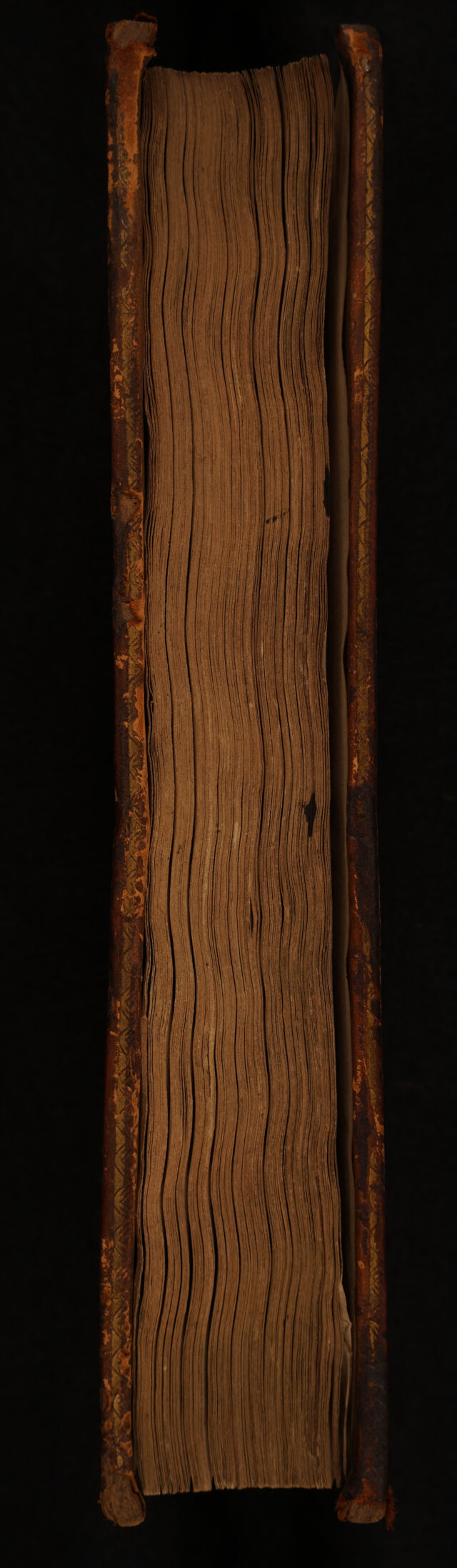 digitised image 3