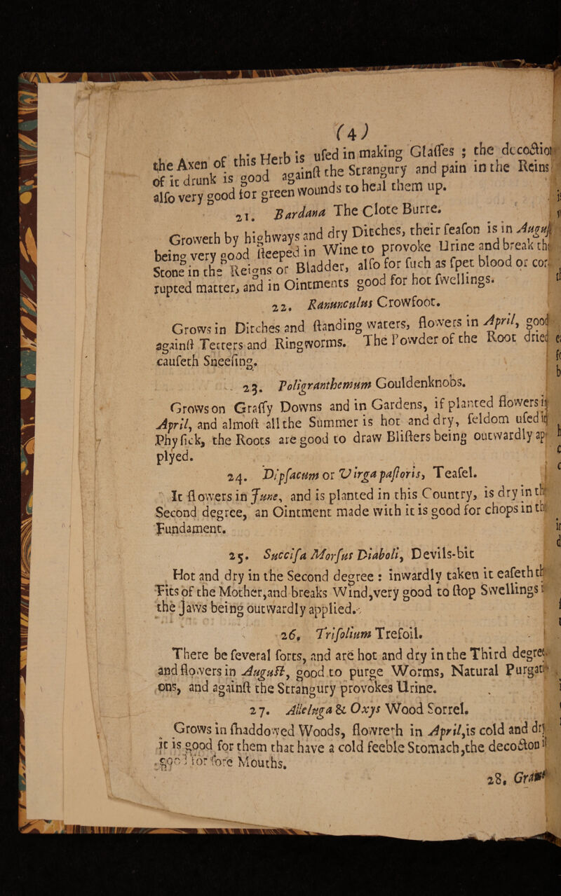 U) r L-,u,rlii< ufed in making Glalfes ; the dcco^id ^heAxeti o t i aDainft the Strangury and pain in the Reins. alfo very good tor green wounds to heal tnem up. 2i. JBardana TheCloteBurre. Grovvech by highways and dry Ditches, their tofon is in Aug4 be£ very good Beeped in Wine to provoke Urine and break th. Stone in the Reigns or Bladder, alfo for fuch as fpet b ood or cor rupted matter, and in Ointments good for hot fwcllings. 22. Ranunculus Crowfoot. |! fl [1 Grows in Ditches and ftanding waters, flowers in April t gooj . ^ _ nPrhp Rnor dried UiOWS ID JL/ILGllCS «iuu , _ . jy J • againd Teeters and Ringworms. TbeSowderoft e rieij e. caufeth Sneering. O 23* Toligranthcrmim Gouldenknoos. Grows on Gralfy Downs and in Gardens, if planted flowers i; April, and almott all the Summer is hot and dry, felaom ulcu it Phy lick, the Roots are good to draw Blifters being outwardly ap¬ ply ed. 24. Dipfacum or Virgapajforis, Teafel. It flowers in June, and is planted in this Country, is dry in th Second degree, an Ointment made with it is good for chops in tbs fundament. ft 1) b c c 25. Succifa Marfas Diabolit Devi Is-bit Hot and dry in the Second degree : inwardlv taken it eafethtb Tits of the Mother,and breaks Wind,very good to flop Swellings t the jaws being outwardly applied.-, J lr d 26, Trifolium Trefoil. i J There be feveral forts, and are hot and dry in the Third degree and flowers in AuguH, good to purge Worms, Natural Purgac ons, and againft the Strangury provokes Urine. . .' i 2 7. Alls Inga & Oxj/s Wood Sorrel. g flj Grows in ftuddowed Woods, fiowre^h in April ^ cold and drji k is good for them that have a cold feeble Stomach,the decoftonb .godi,tor lore Mouths. 28 ,Cr0f