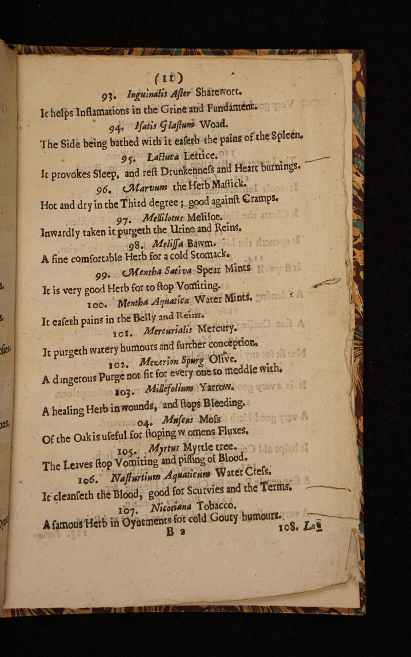 fiO 93* IngttiMlis After Sharewort. It helps Inflamations in the Grine and Fundament. 94? Ifatis (j IdJhtM Woad« The Side being bathed with it eafeth the pains of the Spleen* O * v- ' pf, Laflttca Lettice. It provokes Sleep, and reft Drunkennefs and Heart burnings. 96, (JMarvum the Herb Maffick. Hot and dry in the Third degree; good againft Gramps. Q-j, Mellilottts Meliloc. ^ Inwardly taken it purgeth the Urine and Rems, g8. Melt fa Bawm. A fine comfortable Herb for a cold S comack, 99. (Jtfentha Sat’ivu Spear Mints It is very good Herb for to flop Vomiting. ,00. It eafeth pains in the Belly and Rems. V 101. Mereurialis Mercury. « It purgeth watery humours and further conception. aoi. MtvnmSfmg °h”v,• h A d ,n»erous Purge not fit for every one to meddle wrth. ° 103. Millefolium Yarrow, A healing Herb in wounds, and ftops Bldedin; 04. Mufw Mofs Of the Oak is ufeful for Hoping w omens fluxes. io$. Mjrtus Myrtle tree. The leaves Hop Vomiting and pffing oi Blood• ,06. N4m<Um Water Crels. It deanfeth the Blood, good to Scurvies and the Terms. 107. N'tcotiMA Tobacco. A famous Herb in Oyocmentsfot cold Gouty humours. •g- I r . ■ i )