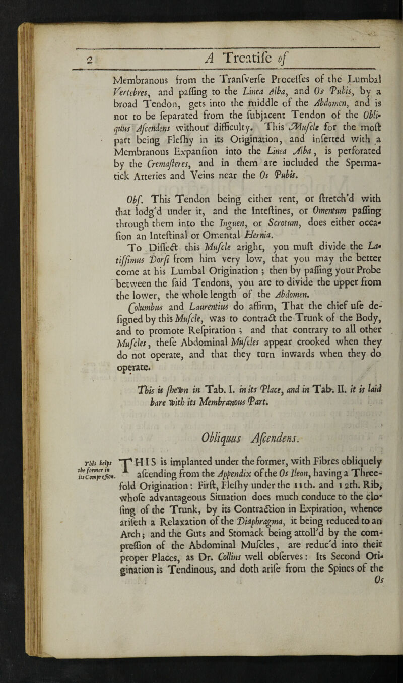 Membranous from the Tranfverfe Proceffes of the Lumbal Vertehres^ and pafGng to the Lima Mha^ and Os Tuhis^ by a broad Tendon, gets into the middle of the Ahdomm^ and is not to be feparated from the fubjacent Tendon of the Ohli» qUHs Afandms without difficulty. This JMufcle for the moft part being Flcfhy in its Origination, and inferted with a Membranous Expanfion into the Lmea Jlha ^ is perforated by the Cremajleres^ and in them are included the Sperraa- tick Arteries and Veins near the Os ^ubis, Obf, This Tendon being either rent, or ftretch’d with that lodg'd under it, and the Inteftines, or Omentum paffing through them into the Inpien, or Scrotum^ does either occa- fion an Inteftinal or Omental Hernia, To piffed this Hufcle aright, you mud divide the La* tifjtnm i)or[i from him very low, that you may the better come at his Lumbal Origination *, then by paffing your Probe between the faid Tendons, you are to divide the upper from the lower, the whole length of the Abdomen. Qolumbiis and Laurentius do affirm, That the chief ufe de- figned by this Mufcle^ was to contract the Trunk of the Body, and to promote Refpiration ; and that contrary to all other Hufcles, thefe Abdominal Aftt/t/er appear crooked when they do not operate, and that they turn inwards when they do operate* This is fhelpn in Tab. 1. in its Hace^ and in Tab; II. it is laid bare wh its Membranous ^art. This helps T' HIS is implanted under the former, with Fibres obliquely 'emprepn. afceuding from the Appendix of the Os lleoity having a Three¬ fold Origination; Firft, Flefhy under the 11 th. and 12th. Rib, whofe advantageous Situation does much conduce to the cjo* (ing of the Trunk, by its Contra(51:ion in Expiration, whence arileth a Relaxation of the Diaphragma^ it being reduced to an Arch; and the Guts and Stomack being attolPd by the com- preffion of the Abdominal Mufcles, are reduc'd into their proper Places, as Dr. Collins well obferves: Its Second Ori¬ gination is Tendinous, and doth arife from the Spines of the Os