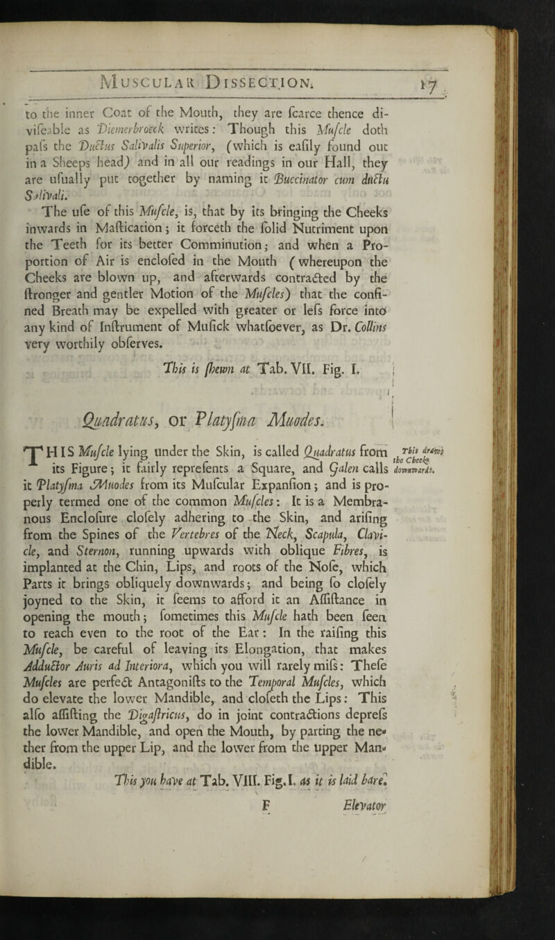 to the inner Coat of the Mouth, they are fcarce thence di- vifeable as 'Dkmerbroeck writes: Though this Mufcle doth pais the T)hBiis Sally alls Superior, (which is eaiily found out in a Sheeps head^ and in all our readings in our Hall, they are ufually put together by naming it buccinator cum dtiBu S^^liyali, The ufe of this Mufcle, is, that by its bringing the Cheeks inwards in Maftication; it forceth the Iblid Nutriment upon the Teeth for its better Comminution,* and when a Pro¬ portion of Air is encloled in the Mouth (whereupon the Cheeks are blown up, and afterwards contracted by the ftronger and gentler Motion of the Mufcles) that the confi¬ ned Breath may be expelled with greater or lefs force intb any kind of Inftrument of Mufick whatfoever, as Dr. Collins very worthily obferves. 'Ibis is [hewn at Tab. VII. Fig. 1. i j I j I t i Qu-adratus, or Tlatyfma Muodes: | 'pHIS Mufcle lying under the Skin, is called Quadratus from its Figure; it fairly reprefents a Square, and (falen calls domwariSt it blatyfma dMuodes from its Mufcular Expanfion; and is pro¬ perly termed one of the common Mufcles: It is a Membra¬ nous Enclofure clofely adhering to the Skin, and arifing from the Spines of the Vertehres of the Tsleck, Scapula, Clavi¬ cle, and Sternon, running upwards with oblique Fibres, is implanted at the Chin, Lips, and roots of the Nofe, which Parts it brings obliquely downwards; and being (o clolely joyned to the Skin, it feems to afford it an Affiftance in opening the mouth; fometimes this Mufcle hath been feen to reach even to the root of the Ear: In the raifing this Mufcle, be careful of leaving its Elongation, that makes JdduBor Juris ad Interiora, which you will rarely mifs: Thefe Mufcles are perfect Antagonifts to the Temporal Mufcles, which do elevate the lower Mandible, and clofeth the Lips; This alfo aflifting the 'Di^ajlrictt^, do in joint contractions deprefs the lower Mandible, and open the Mouth, by parting the ne¬ ther from the upper Lip, and the lower from the upper Man¬ dible. This you have at Tab. VlII. Fig. I, as it is laid bare. F Elevator . M ^ ^ /