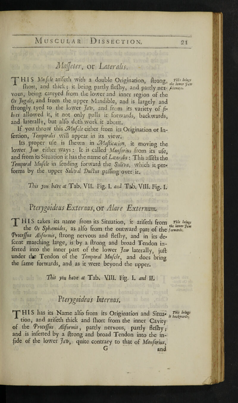 I Muscular Dissection, 21 ALijfeicr, or Lateralis. THIS -KUtfde ari fcth with a double Origination, ftrong, This brings fliorc, and chick; it being partly flediy, and partly nerr vous, being carryed from the lower and inner region of the Os Jugalc, and from the upper Mandible, and is largely and ftrongly tyed to the lower and from its variety of /i- hres allowed it, k not only pulls it forwards, backwards, and laterally, but alfo doth work it about. If you throw this 3iufcle either from its Origination or In- lertion, Temporalis will appear in its view. Its proper life is fliewn in .^aflkanon^ it moving the lower Jaw either ways: It is called Mm/orius from its ufe, and from its Situation it has the name of Later alts: This affifts the Temporal Mufcle in fending forward the Salba, which it per«» forms by the upper Salbal VuBus palTing over it. Tj?is you hay eat Tab. VIL Fig. I. and Tab. VlII. Fig. I, Vterygoidcus Externus, or Alare Externum. H IS takes its name from its Situation, it arifeth from the Os Sphremides, as alfo from the outward part of the formrd7/^^ Trocejfus Aliformis^ ftrong nervous and flefhy, and in its de=* feent marching large, is by a ftrong and broad Tendon in¬ ferred into the inner part of the lower Jaw laterally, juft under the Tendon of the Temporal Mufcle^ and does bring the fame forwards, and as it were beyond the upper. Tl?is you haye at Tab. YIII. Fig. I. and IL Eterygoideas Internus. ^HIS has its Name alfo from its Origination and Skua- tion, and arileth thick and fliort from the inner Cavity of the Vroceffus Aliformis ^ partly nervous, partly flefliy,* and is inlerred by a ftrong and broad Tendon into the in- lide of the lower quite contrary to that of ManforiuSy G and