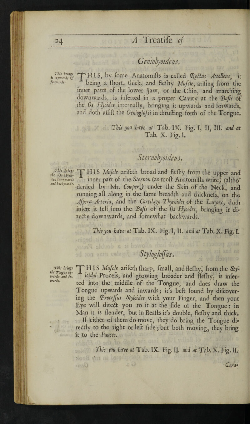 H This brings it up wardi (if forwards. 7 its brhp the Os Hyoi- (ies downwards and backwards. \ This briefs the Tongue up~ wards and in¬ wards. A Treat! fe of Gcnwhyo'idcus. */ by (ome Anatomifts is called ^.Uus AttoUens^ i’c being a fliort, thick, and fleOiy Mufcle, aiifing from the inner parts of the lower ]aw, or the Chin, and marching downwards, is inferted in a proper Cavity at the ^afis of the Os Jzljoides internally, bringing it upwards and forwards, and doth aflifl the Genloglofsl in thrufting forth of the Tongue. Il?ls you haye at Tab. IX. Fig. I, II, III. and at Tab. X. Fig. I. I Sternobyoidetis. ’1^ H1S Mufcle arifeth broad and flefny from the upper and inner pave of the Sternon (as mod Anatomifts wricej (altho’ denied by Mr. Cowfer^) under the Skin of the Neck, and running all along in the fame breadth and thicknefs, on the A/fiera Arteria^ and the Cartilago Thyroides of the Larynx, doth inferc it felf into the ^afis of the Os Hyotdes, bringing it di* redy downwards, and fomewhat backwards. 'ThisyoH haye at Tab. IX. Fig. I, II. and at Tab. X. Fig. L HIS Mufcle arifeth (liarp, fmall, and flediyj from the loidal Procefs, and growing broader and flefliy, is infer- ced into the middle of the Tongue, and does draw the Tongue upwards and inwards; it’s beft found by dilcover- ing the ^rocejfus Styloldes with your Finger, and then your Eye will dired you to it at the fide of the Tongue: in Man it is flender, but in Beafts it’s double, fleflhy and thick. If either of them do move, they do bring the Tongue di*« redly to the right or left fide; but both moving, they bring it to the Fauces. . . T);h you haye at Tab. IX. Fig. II. and at Tab. X. Fig. II, \ Cera*