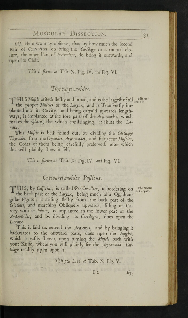 Obf. Here we m.iy obferve, that by bow much the fecond Pair of ContraElcrs do bring the Cartilage to a mutual clo- fure, the other Pair of Extenders, do bring it outwards, and open its Cleft. This is ptewn at Tab. X. Fig. IV. and Fig. Vl. JHIS Mufcle arifeth flefliy and broad, and is the larged of all the proper Mufcks of the Larynx^ and is Tranfverfly im¬ planted into its Cavity, and being carryM upwards length¬ ways, is implanted at the fore parts of the Jryt^noides, which makes the Qlottis^ the which condringing, it fiiuts the La¬ rynx. This Mufcle is bed found out, by dividing the Cartila^o LhyroUes^ from the Crycoides^ Jrytmotdes^ and fubjacent Mufcksy the Coats of them being carefully preferved, after which this will plainly fliew it felf. This is flmvn at Tab. X: Fig. IV. and Fig: VL Qrjcoaryt^noides Fofikus. ’Jp HIS, by CaJferiiiSy is called T^ar CucuUare^ it bordering on the back part of the Larynx^ being much of a Quadran¬ gular Figure; it arifing flefhy from the back part of the Cricoldes, and marching Obliquely upwards, filling its Ca¬ vity with its Fibres, is implanted in the lower part of the Aryt^noides, and by dividing its Cartilages, does open the Larynx. This is faid ta extend the Jryteenois, and by bringing it backwards to the outward parts, does open the Epiglot, which is eafily fliewn, upon turning the Mufcle back with your Knife, where you will plainly fee the Jrytcenolda Car¬ tilage readily open upon it. This yen haVe at Tab.. X. Fig. V. t -., I i Ary-