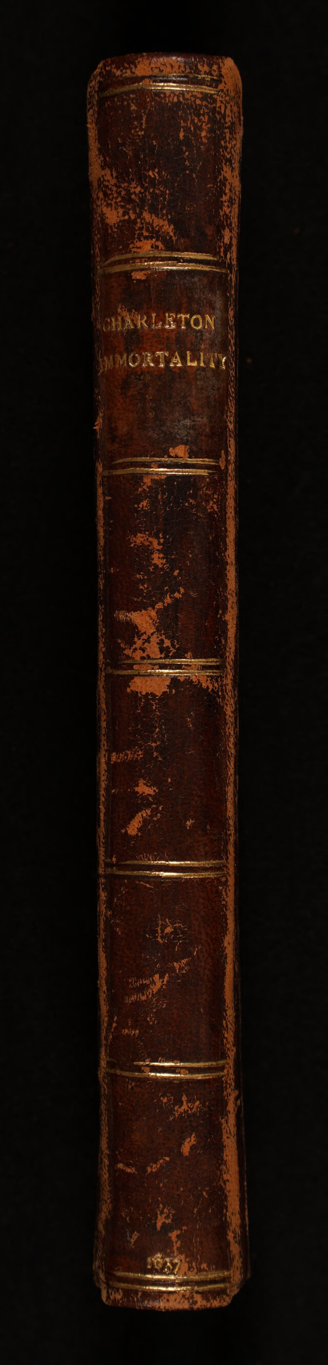 No text description is available for this image