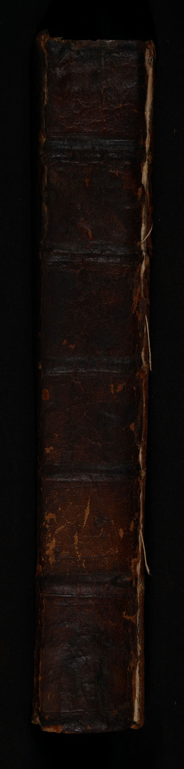 No text description is available for this image