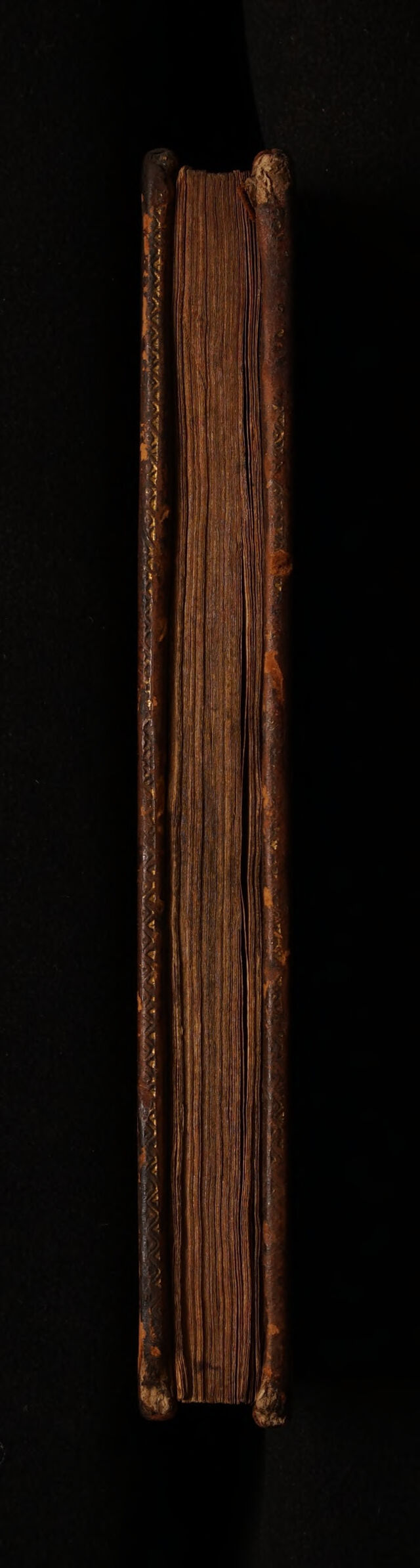 No text description is available for this image