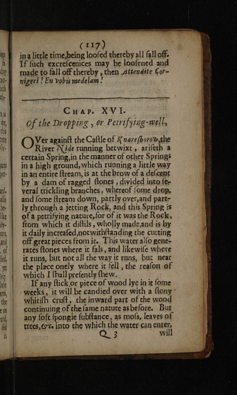 ina little time,being loofed thereby all fall off. | If fuch excrefcenices may be loofened and made to fall off thereby , then Attendtte Cor- nigeri ! En vobis medelam ‘ OvV«e again{t the Caftle of K nare/borow,the River Nide running betwixt ,. arifech a certain Spring,in the manner of other Springs in a high ground, which running a little way in an entire (tream, is at the brow of a defcent by a dam of ragged (tones , divided into fer veral trickling branches, whereof {ome drep, and fome ftream down, partly over,and part- ly through a jetting Rock, and this Spring is of a petrifying nature, for of ic was the Rock, from which it diftils , wholly made,and is by it daily increafed notwith{tanding the cutting off great pieces from it.. This water alfo gene- rates {tones where it fals, and likewife where it runs, but notall che way it runs, but near the place onely where it fell , the reafon of which I thal] prefently thew. If any ftick or piece of wood lye in it fome weeks, it will be candied over with a {tony ' whitifh cru(t, the inward part of che wood continuing of the fame nature asbefore. But any foft {pongie fubltance, as mofs, leaves of trees, (ge into the which the water can enter, 3 ~ will