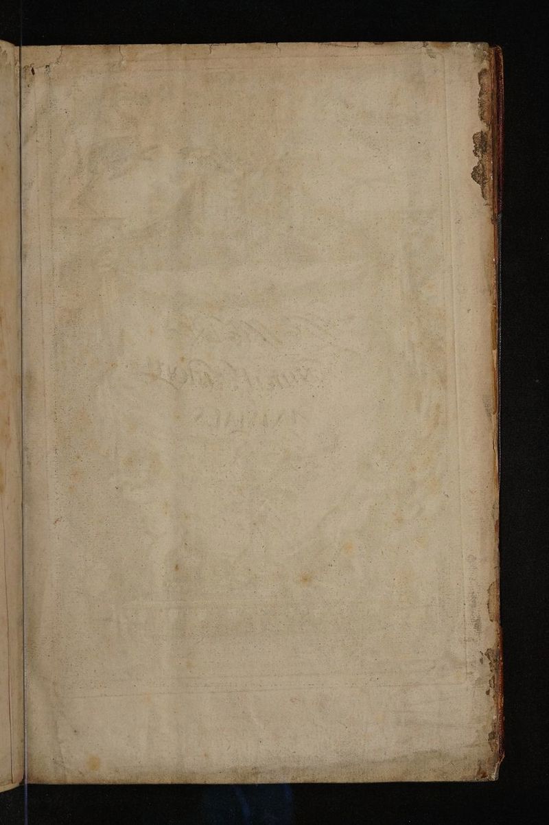 No text description is available for this image