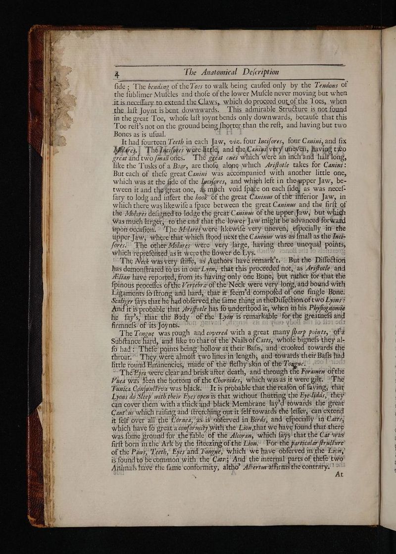 à The Anatomical Dejcription fide ; The bexding of the Toes to walk being caufed only by the Tendons of the fublimer Mufcles and thofe of the lower Mufcle never moving but when itis neceflary to extend the Claws, which do proceed out of the Toes, when the laft Joynt is bent downwards. This admirable Structure is not found in the great Toe, whofe lait joynt bends only downwards, becaufe that this Toe reit’s not on the ground being fhorter-than the reft, and having but two Bones as is ufual. a } _ Ithad fourteen Teeth in each Jaw, viz. four Incifores, four Canini, and fix Mes! ThéTacifores were little, and the Capi very uneven, having tko great and two fmall ones. The ggeat ones which were an inch'and half long, like the Tusks of a Boar, are thofe alone which Ariftotle takes for Camini: But each of thefe great Canini was accompanied with another little one, which was at the fade of the Igcifores, and whieh left in thewpper Jaw, be- tween it and the’great one, 4s much void {pace on each fide, as was necef- fary to lodg and infert the ook of the great Cainus of the-inferior Jaw, in which there was likewife a fpace between the great Caninus and the firft of the Mobies defigned'te ledge the great Caninus of the upperiJaw, but whieh Was mueh Mrgér, tothe end that the lower Jaw might be advanced forward pon oecafion. © The Myares were hkewife very 'tineven, efpecially “inothe Upper Jaw, where that which ftood ‘next the Cerises was as {mall as the Tnci- which reprefented ‘as tt were the flower dé Lys. ‘7 Où BITE The Weck was-very ftiffe, as Authots have vemark’t. ~ But the Diffeftion has demonftratéd tous in oli Lyon, that this proceeded not, as Arsfforle ‘and “Han have reported, from its having only one Bone, but rather for that the fpinous proceffes of the 7’ertebra'of the Neck were very long, and bound with Ligaments 6 ffong and hard} that it feem’d compoltd of one fingle Bone: Scalicer Rays that he‘had obferved the fame thing in theDifleQion of two Lyons: And itis probable that AriPorle has 1 underftood it, when ih his Phyffogdomie he fay’s; that’ the Body of the’ Lyd# is remarkable ‘for'the greatnefs and FciirtelS Gries poy nee oy ee SMIC ee 0 5594 SE The Toxeue was rough and covered with a great many harp points, of a Subftance hard, and fike to that of the Nails of Casts, whole bignefs-they al- fo had: Thefe’ pots being” hollow at their Bafis, and crooked towards the throat.’ They Were aloft two lites in length, and towards their Bafis had little found Eminencies, made of the flefhy skin of the Togpre 1. ~The Fes were clear and brisk after death, and-through the Foramen of thie Pahea Was feen the bottom of the Chordides, which was as it were gilt. °F KE Funica Conjunttidoa-was black. It is probable that thereafon of faying, that Lyons do Sleep’ with their Eyes open is that without fhutting ‘the Eye-lidds,” they can cover them with a thick 4nd‘ black’ Membrane’ lay’d ‘towards the’ great Cantus which raifine and ftretching out it felf towards the leffer, ‘can extend it felf over all’ the’ Cérzea}*as.is obierved in Birds, and efpecially “ia Cars, which have fo great a conformity with the Lion,that we have found that there was fome ground for ‘the fable of the’ Avcoran, which fays-that the Car was firft born inthe Ark by the fiicezing of the Lion. For'the particular firucture’ of the Paws, Teeth,’ Eyes and Tongye, which’ we have obferved in'the Lio, is found to be commion with the Carr; And the internal parts of thefe’ two Animals tive the fame conformity, altho” A/-ertus-affirinis the contraty. * ° . | | At