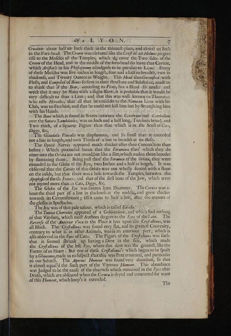 den Of a EL ir ON: Cranium’ about half an: Inch thick in the thinneft place, and-almoft an Inch in the Fore-head. The Crown was elevated like the Cre/t of an\Helmet,to give rifé to the Mufcles of the Temples, which dg cover the Two ‘fides of the Crow# of the Head, and: in the middle of the fore-head do: leave that Cavitie which Ariffotle in his Phyfiognomy adjudgeth to be peculiar to: Ligus. Every of thefe Mufcles was five inches in length, four:and a halfimbreadth, two in thicknefs, and Twenty Ouncesin Weight.) ‘This Head thusiGaryifbed with Flefh; and Compoled of Bowes fo firm initheir ftruéture and Subftañce, made us to think that: if the Bewr, : according to Pé:zy, has a Head. «fo! tender and weak that it may be Slain with a flight Blow, it is probablethat it would be very ‘difficult to ftun ‘a Lion-; and that this was well: known to: Theocritus; who tells Flercales, that all that he coulddo:to the Nemean Lion with his Club, was to ftun him, and that he could not kill him but by Strangleing him The Bowe which.is found in Brutes between the Cerebrum and: «Cerebellum over the Satura Lambdoides, was an Inch and a half long,:Ten:linés broad, and Awo thick, of a fquarer Figure than that which tsinsthe Seull of Cats, Doggs, &c, : The Glandula Pinealis was diaphanous, and fo {mall thatirit exceeded not a line in length,and. two Thirds ef: a line in breadth at its: Bafis. The Oprick Nerves appeared much. thicker after their Conjunction than before : Which ‘proceeded hence that the Foramina thro’ which they do enter into the Orizta are not round,but like a flitt;which makes them broader by flattening them. Being paft thro’ the Foramen of the Orbita, they were extended to the Globe of the Eye, twocdnches and a half in length. : It was obferved that the Cavity of this Orbita was not wholly fenced with a Bone on the infide, but that there was a hole towards the Temples, between. the Apophyfs of the Os Frontis,and that of the firft bone of the Jaw, which were not joyned more than in Cats, Doggs, &c. The Globe of the Eye was {fixteen lines Diameter. ‘The Cornea was a- bout the third part of a line in thicknefsat the middle,and grew thicker towards its Circumference ; tillit came to half a line, after the manner ol the glaffes in Spectacles. The dris was of that pale colour, which is called J/abella. The Tunica Choroides appeared of a Gold-colour, and which had nothing of that Verdure, which moft Authors dogive to the Eyes of the Lion. ‘The Reverfe of the Anterior Vueain the Place it lyes upon the Cry/tallinus, was all Black. The Cry/tallinus was found very flat, and its greateft Convexity, contrary to what is in other Animals, wasin its anteriour part; which is alfo obferved in the Eyes of Catts. ‘The Figurs of the Cry/Pallinus was fuch: that it feemed fhrunk up havinga Dent in the fide, which made the Cryflallinus of the left Eye, where this dent was the greatelt, like the Forme ofan Heart : But one of thefe Cry/tallinus’s which began to be fpoilt by a Glaucoma,made us to fufpect that this was Pret ernatural, and particular to our Subject. The Aqueous Humour was found very abundant, fo that it almoft equal’d the fixth part of the Vitreous Humour, ‘This abundance was Judged to be the caufe of the clearnefs which remained in the Eyes after Death, which are obfcured when the Cornea is dryed and contracted for want of this Humour, which keep’s it extended. di ‘ine A