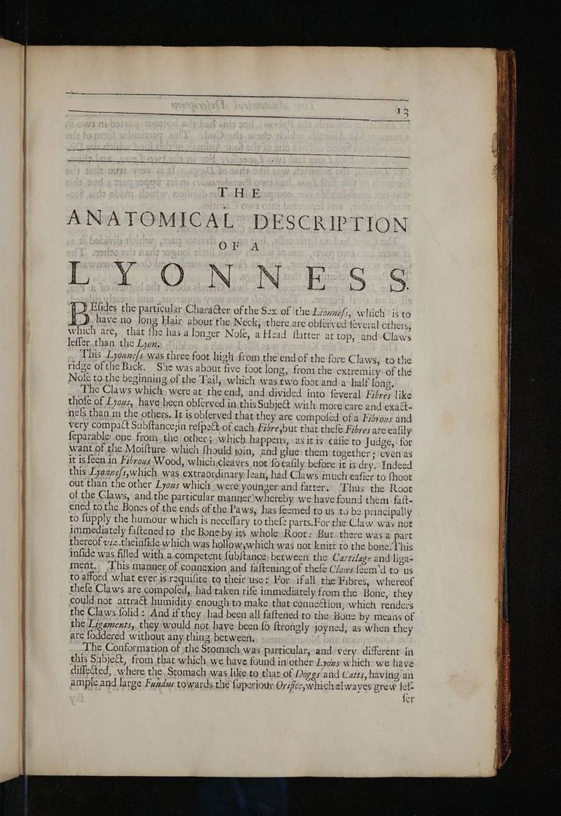 ANATOMICAL” DESCRIPTION OR A Poy Cy Noe fad oh À} Efides the particular Chara@er of the Sex of ‘the Lionnefs, which is to have no long Hair about the Neck, there are obferved féveral others; which are, that fhe has a longer Nofe, a Head flatter at top, and Claws leffer.than the Lyon. : This Lyoane/s was three foot high from the end of the fore C laws, to the ridge ofthe Bick. She was about five foot long, from the extremicy: of the Note to the beginning of the Tail, which was two foot and a half long, The Claws which. were at the end, and divided into feveral Fibres like thofe of Lyozs, have been obferved inthis Subject with more care and exa@- nef than in the others. It is obferved that they are compofed of a Fidroxs and very compact Subftance;in refpect.of each Fiére,but that thele Fibres are ealily feparable:.one from.the other; which happens, as it is cafe to Judge, for want.of the Moifture. which fhould join, and glue) them together + ‘even as it is feen.1n Fabrovs Wood, which cleaves not fo ealily before it is dry, Indeec this Lyo2ve/s,which, was extraordinary: lean, had Claws much eafier to fhoot out than the other Lyozs which were younger-and fatter. Thus the Root of the Glaws, and.the particular manner whereby we have found them. faft- ened tothe Bones of the ends of the Paws, has feemed to us to be principally to fupply the humour which is neceflary to thefe parts.For the Claw was not immediately fattened to the Boneby ics whole Root: Bur there was a part thereof viz.theinfide which was hollowswhich was not knitt to the bone. This infide was filled with a competent fubitance: between the Cartilage and liga ment, This manner of connexion and faftening of thefe Clows feem’d to us to afford what ever is roquilite. to their use: Kor. ifall. the Fibres, whereof thefe Claws. are. compofed, had:taken rife immediately from the Bone, they could not attract humidity. enough to make. that connéttion, which renders the Claws folid : And if they had been all faftened to the Bone by means of the Leaments, they;would not have been fo ftrongly joyned, as when they ate foddered without any thing between. The Conformation of the Stomach was particular, and very. different in this Sabje@, from that which we have found inlothér Lyoks which we have diffeéted, where the, Stomach was like.to that of Doggs and Catts, having an ample. and large Fuzdus towards.the fuperiour Orifice whichalwayes grew lef wi fer