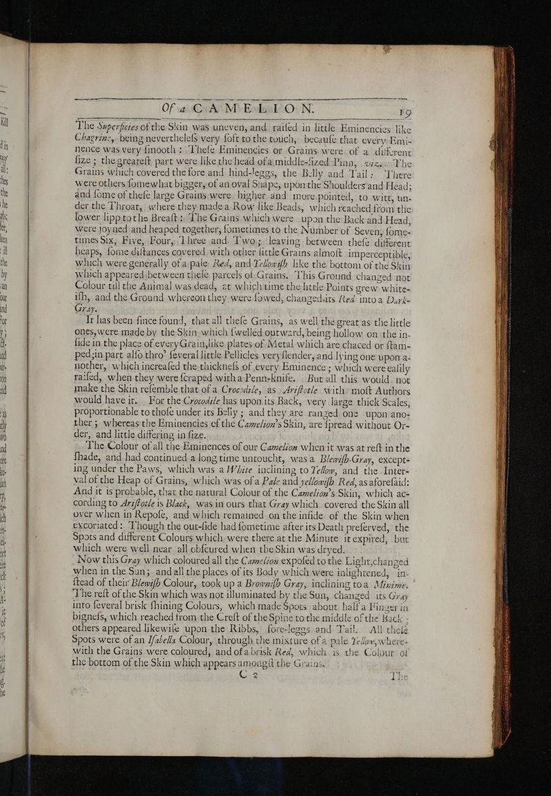 ro The Superficies of the Skin was uneven, and raifed in little Eminencies like Chagrin:,- being neverthelefs very foft tothe touch, becaule that every: Emi- nence was very {mooth : Thefe Eminencies or Grains were of a diferent fize ; the greateft part were like the head ofa middle-fized Pina, wixs The Grains which covered the fore and hind-leggs, the Belly and Tail: There were others fomewhat bigger, of an oval Snape, upon the Shoulders and Head: 5 and fome of thefe large Grains were higher and more pointed, to witt, un- der the Throat, where they madea Row like Beads, which reached from tlie lower lipptothe Breaft:, The Grains which were upon the Back and Head, were Joyned and heaped together, fometimes to the Number of Seven, fome- tunes Six, Five, Four, Three and. Two; leaving between thefe different heaps, {ome diltances covered with other little Grains almoft imperceptible, which were generally ofa pale, Red, and Telowb like the bottom of the Skin which appeared jbetween thele parcels of Grains. This Ground changed not Colour till the Animal was dead, at which time the httle Points grew white- ifh, and the Ground whereon they were fowed, changedsts Red intoa Durk- Gray. Ir has been fince found, that all thefe Grains, as well the great as the little ones, were made by the Skin which {welled outward, being hollow on the in- fide in the place of everyGrain,like plates of Metal which are chaced or ftam- ped;in part alfo thro’ feveral little Pellicles very lender, and lying one upon a- nother, which increafed the-thicknefs of every Eminence ; which were ealily raifed, when they were {craped witha Penn-knife. But all this would. not make the Skin refemble that of a Crocsdile, as. Ariftotle with» moft Authors would have it. . For the Crocodile has upon its Back, very large thick Scales, proportionable to thofe under its Belly ; and they are ranzed one upon ano- ther ; whereas the Eminencies ef the Camelion’s Skin, are {pread without Or- der, and little differing in fize. The Colour of all the Eminences of our Camelion when it was at reft in the fhade, and had continued a long time untoucht, was a Blewifh-Gray, except- ing under the Paws, which was a White inclining to Telow, and the Inter- val of the Heap of Grains, which was ofa Pale and yellowifhb Red, as aforefaid: And it is probable, that the natural Colour of the Camelion’s Skin, which ac- cording to Arsffoële is Black, was in ours that Gray which covered the Skin all over when in Repofe, and which remained on the infide of the Skin when excoriated: ‘Though the out-fide had fometime after its Death preferved, the Spots and different Colours which were there at the Minute it expired, but which were well near all obfcured when the Skin was dryed. Now this Gray which coloured all the Camelon expofed tothe Light,changed when in the Sun; andall the places of its Body which were inlightened, in. itead of their Blewifh Colour, took up a Brownifh Gray, inclining toa Minine. The reft of the Skin which was not illuminated by the Sun, changed its Gray into feveral brisk fhining Colours, which made Spots about half a Finger in bignefs, which reached trom the Creft of the Spine to the middle of the Back - others appeared likewile upon the Ribbs, fore-leges and Tail. All thei Spots were of an I/alells Colour, through the mixture of a pale Iedov,where- with the Grains were coloured, and ofa brisk Red, which is the Colour ot the bottom of the Skin which appears among the Grains. Le] #