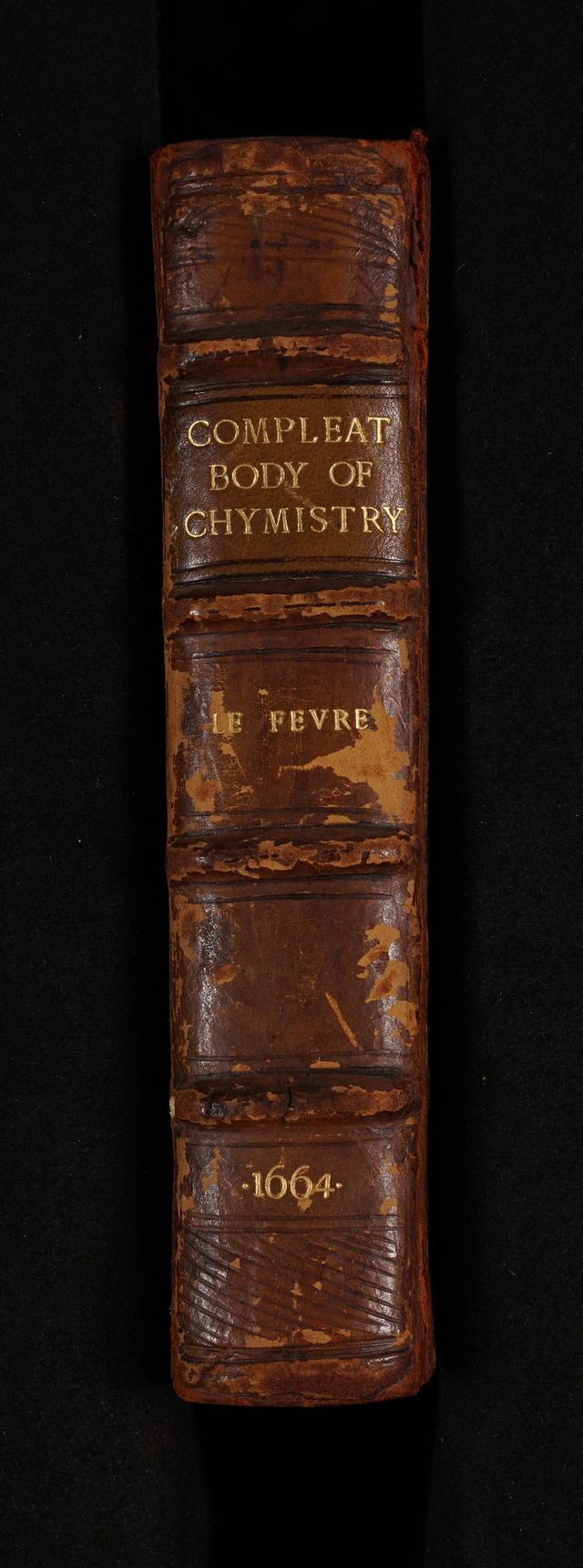 No text description is available for this image