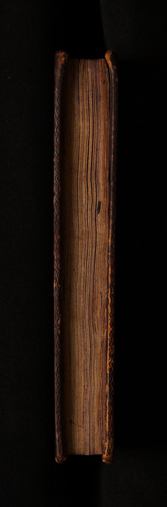 digitised image 3
