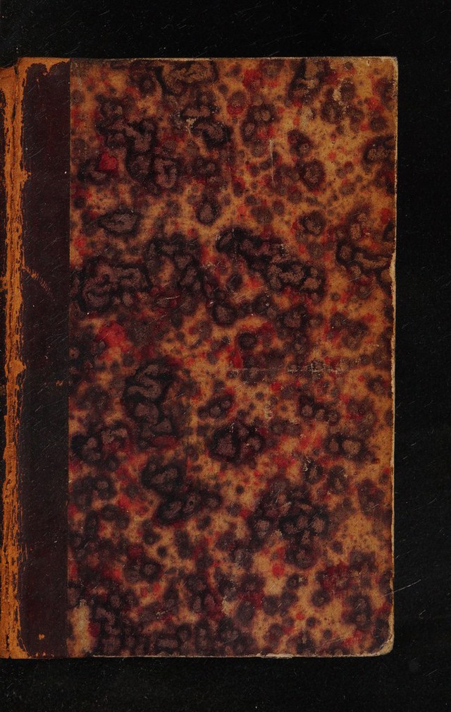 No text description is available for this image