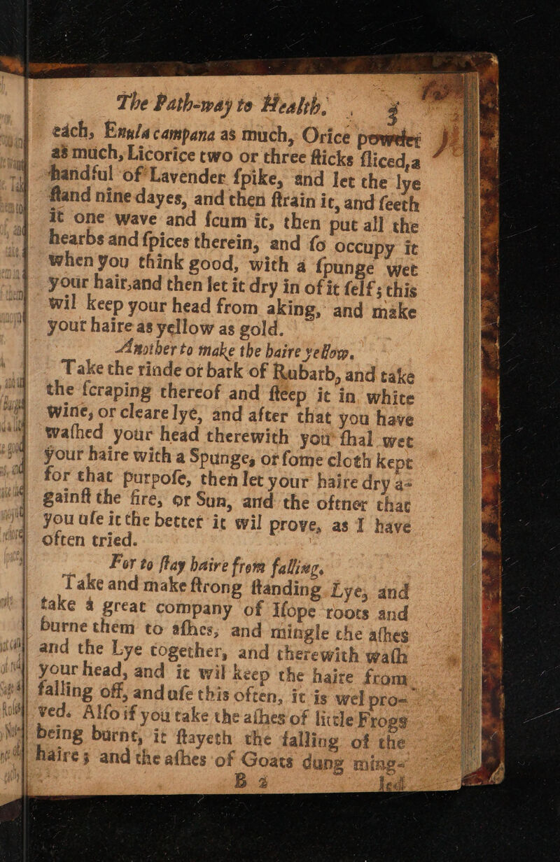 each, Enyla campana as much, Orice powrle; J a as much, Licorice two or three flicks fliced,a ~ “| -4 handful of Lavender {pike, and let the lye fland nine dayes, and then ftrain it, and feeth it one wave and {cum ic, then put all the hearbs and {pices therein, and {6 occupy it When you think good, with a {punge wet your hair,and then let it dry in of it elf; this wil keep your head from aking, and make yout haire-as yellow as gold. Another to make the baire yeBow. Take the rinde ot bark of Rubarb, and take the fcraping thereof and fteep it in, white wine, or clearelyé, and after that you have wathed your head therewith you thal wee ls your haire with a Spunges or fome cloth Kept i for that purpofe, then let your haire dry as uf gainft the fire, or Sun, and the oftner that you ule itthe better it wil prove, as I have a often tried. be For to flay haire from falizg, | a. Take and make ftrong ftanding Lye, and take 4 great company of ifope roots and burne them to afhes, and mingle che athes wi) and the Lye together, and therewith wath i) your head, and ic wil Keep the haire from. #4 falling off, andafe this often, it is wel pro= holt Wed. Alfo if you take the athes of litle Frogs Ni] being burne, it flayeth the falling of the  haire5 and the afhes of Goats dung ming- @ ; he ip