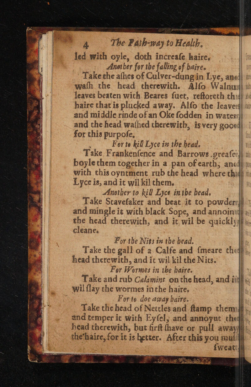 Jed with oyle, doth increafe. haire, Another for the falling of baire. | Take the afhes of Culver-dungin Lye, aned) i wath the head therewith. Alfo Walnuj) i leaves beaten with Beares fuet, reftoreth thid) ii haire that is plucked away. Alfo the leavecs and middle rinde of an Oke fodden in watez:|) and the head wathed therewith, is very goood) for this purpofe, | ee For te kill Lyce iz the head. | Take Frankenfence and Barrows .greafee}) i boylecthem together in a pan of earth; ancd) y with this oyntment rub the head where thiq) i Lyce is, and it wil kil them. | Another to kill Lyce in tbe bead. : For the Nits 1 the bead. q Take the gall of a. Calfe and {meare theq)) head therewith, and it wil kil the Nits. ! Fer Wormes in the haire. a Take and rub Calamint onthe head, and iit} y wil {lay the wormes inthe haire. i ep Forto doe amay baire. - Take the head of Nettles and ftamp themnjf}), and temper ic with Eyfely and annoyut thedi, head therewith, but firft (have or pull awayyiii|, the‘haire, for it is hetter. After this you mull : a Coes {weati, i ar op cee a '