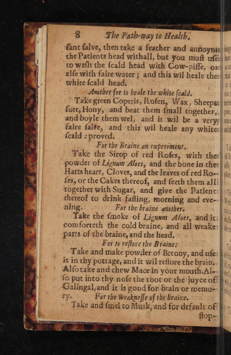 ea $ The Path-way to Health, : || Mant falve, then take a feather and annoynet| in | the Patients head withall, but ‘you muft ufé| \ | to wath the fcald head with Cow-piffe, oni| elfe with faire water ; and this wil heale thee| whice fcald head, | | Another for to heale the white [cald. ti ' Take green Coperis, Rofen, Wax, Sheepss |} ttt duet, Hony, and beac them {mall together, j: and boyle them wel, and it wil be a very) oi faire fale, and this wil heale any whitec|| wit {cald ; proved, | _ For the Braine an experiment. | Fake the Sirop of red Rofes, with theel i} powder of Lignum Alses, andthe bone in thee || ;j Harts heart, Cloves, and the leaves of red Roe| des, or the Cakes thereof, and feeth them all together wich Sugar, and give the Patient thereof to drink. fafting, morning and eve--| ning. For the bratae anothers i Take the fmoke of Lignwm Alves, and iti || «,\ comforteth the cold braine, and all weake: || ; parts. of the braine, and the head. | For te reftore the Braines | Take and make powder of Betony, and ufe: | i, at in thy pottage, and it wil reftore the brain... | ;., Alfotake and chew Macein your mouth.Al-. fo put into thy: nofe the root or the 'juyce of Hy Galingal,and it is good for brain or mema=:|\s,. ry. Per the Weakneffe of the braine. 7 ~ Take and{mel to Musk, and for sacar of ftop= d} | \