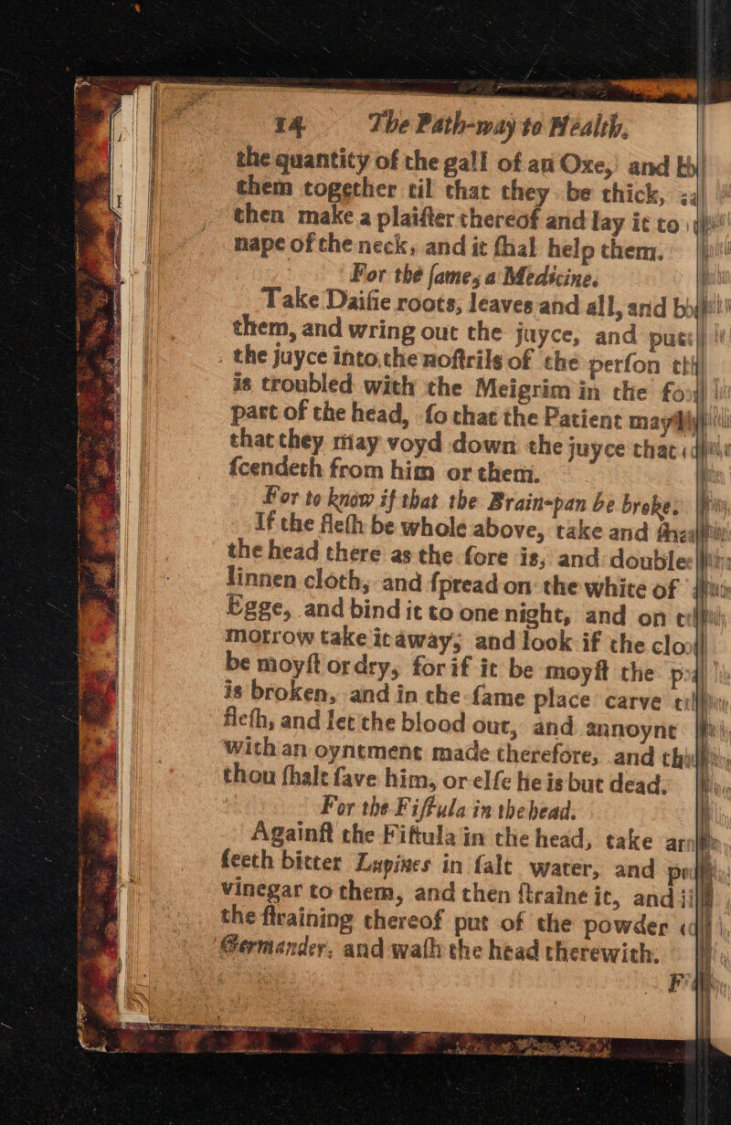 the quantity of the gall of an Oxe,’ and [| them together til that they. be thick, ;4| then make a plaifter thereaf and lay it to ye nape of che neck, and it fhal help them. ~ |)j\! For thé fames a Medscine. pith Take Daifie roots; leaves and all, anid boyptt them, and wring out the jayce, and pute |! . the juyce intoche noftrilg of the perfon thi is troubled with the Meigrim in the fo t part of the head, fo chat the Patient may Hyp that they may voyd down the juyce thac «qyiie fcendeth from him or theni. f Por to know if that the Brain-pan be broke. If the fleth be whole above, take and the the head there as the fore is, and doublee|fi linnen cloth; and {pread on: the white of | {Hui Egge, and bind it to one night, and on eri; motrow take icaway, and look if the clon} be moyft ordry, forif it be moyft the pod) | is broken, and in che-fame place carve tif ficfh, and let'the blood out, and annoyne jf With an oyntment made therefore, and chal thou fhale fave him, or elfe heisbut dead. |} | For the Fiftula in the bead. Againft the Fiftula in the head, take ar By feeth bitter Lupines in fale water, and pods: Vinegar to chem, and then {traine jc, and ji | the flraining thereof put of the powder «dif |, ‘Sermander. and wath the head therewith,
