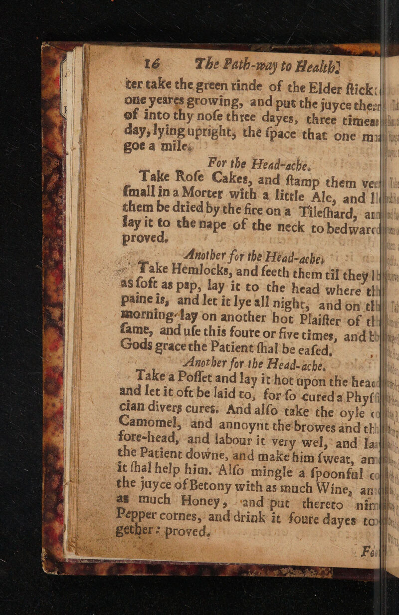 ter take the green tinde of the Elder flick: || ole yeares growing, and put the juyce chezy) ‘i ef into thy nofe three dayes, three timess)li: day, lying upright; the ipace that one m3: ie goe a mile; #03 Another for the'Héad-ache; i oe Lake Hemlocks, and feeth them til chey 1 hifi - asfofe as pap, lay it to the head where cli} paineis, and lec ic lye all night; and on: ctl |i morning-fay on another hot Plaifter of tl me fame, and ufe this foure or five times, and kbiiip: Gods grace the Patient thal’ be éafed. | | Another forthe Head-ache, i Take a Poflet and lay it hot upon the heacii and let it oft be laid to, for{o cured Phyf cian divers cures. And alfo ‘take the oyle « Camomel, and annoynt che'browes aid thi foreshead, arid labour ic very wel, and aaj the Patient downe, and make him {Weat, ami) it {hal help him. ‘Alfo mingle a {poonful colli, the juyce of Betony with as much Wine, anodhi a8 much Honey, and put thereto nimlel Pepper cornes, and drink it foure dayes toni, gether: proved. |