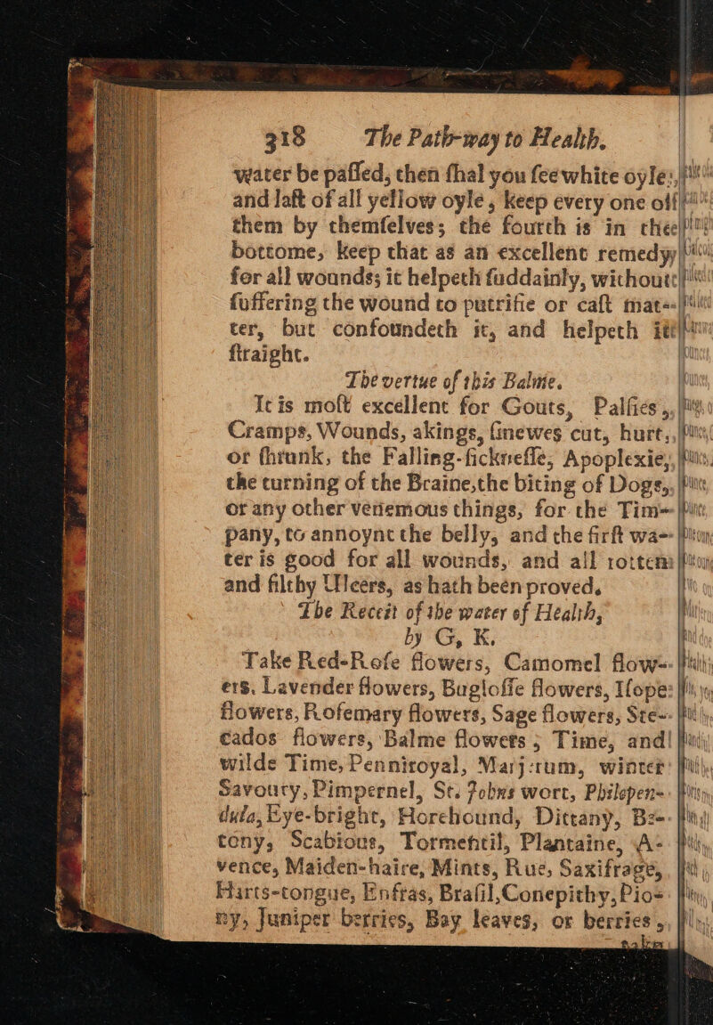 ee i 318 The Path-way to Health. water be pafled, then fhal you fee white oyle:,{!! and laft of all yellow oyle, keep every one off! them by themfelves; the fourth is in cheel}! bottome, keep that as an excellent remedy) fer all wounds; it helpech fuddainly, wichoutt|} foffering the wound to putrifie or caft mat=-|fti ter, but confoundech it, and helpeth it firaight. i The vertue of this Balme. | Icis moft excellent for Gouts, Palfies ,, Cramps, Wounds, akings, finewes cut, hurt,.,|fitsy or (hiunk, the Falling-ficknefle, Apoplexie,, piu. the turning of the Braine,the biting of Dogs, piv or any other venemous things, for the Tim- pany, to annoynt the belly, and che firft wa--} ter is good for all wounds, and all rotter [pin and filthy Uleers, as hath been proved. Tbe Recest of the water of Health, | by G, K, Take Red-Refe flowers, Camomel flow« il ers. Lavender flowers, Bugloffe lowers, Tope: fli Howers, Rofemary flowers, Sage flowers, Ste~: | cados flowers, Balme flowers ; Time, and| [hii wilde Time, Penniroyal, Marj:rum, winter Savoury, Pimpernel, St. Pobws wort, Philepen-. | dula, Eye-bright, Horehound, Dittany, Bz teny, Scabious, Tormentil, Plantaine, A- vence, Maiden-haire, Mints, Rue, Saxifrage, Huarts-congue, Enfras, Brafil, Conepithy, Pio- my, Juniper berries, Bay leaves, or berries ,