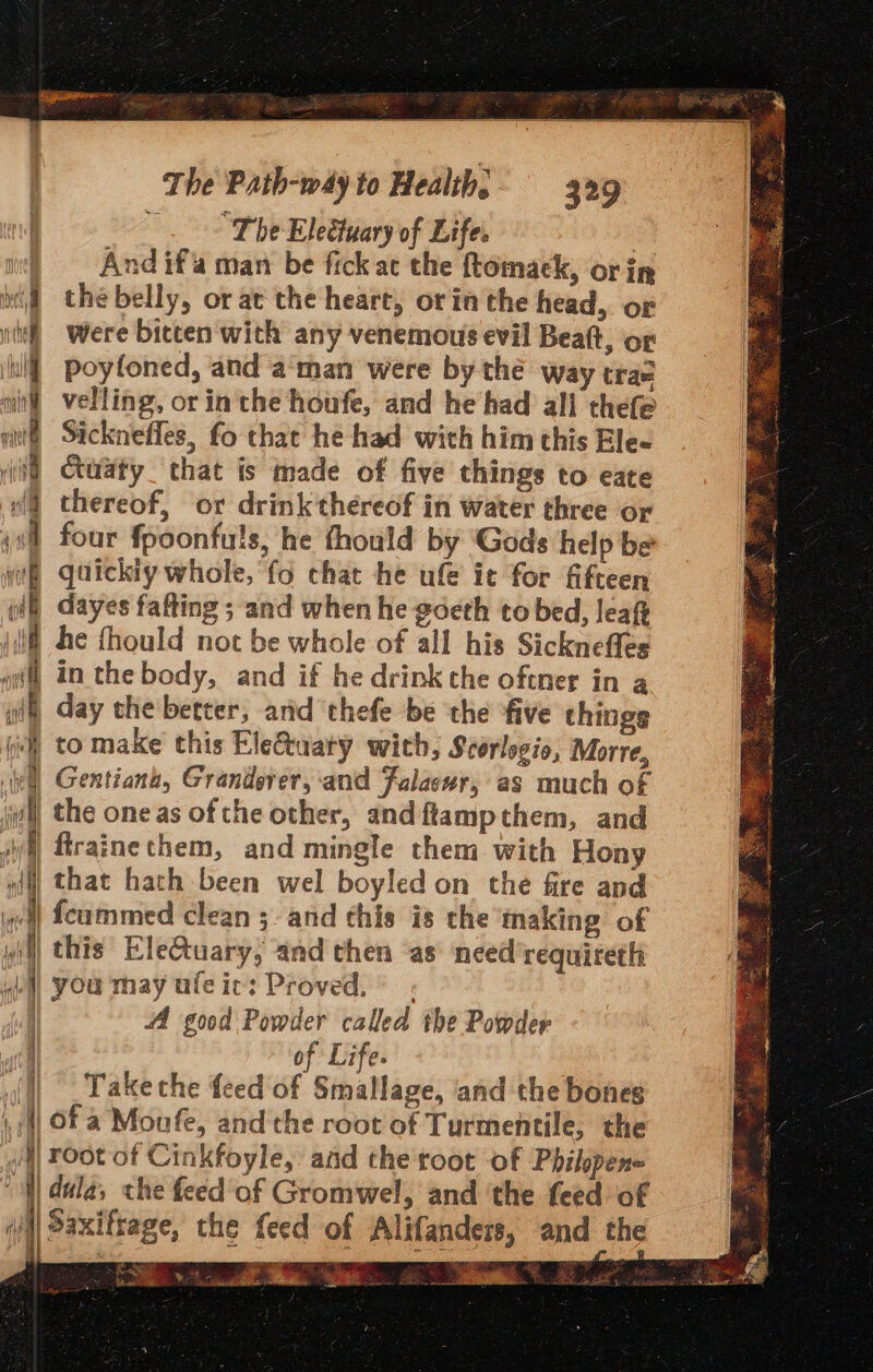 “The Eleétuary of Life. ; And if'a man be fick ac the ftomack, orin the belly, or at the heart, orin the head, or were bitten with any venemous evil Beaft, or poyfoned, and aman were by the way tras velling, or in the houfe, and he had all thefe Sicknefles, fo that he had with him this Ele- Ctuaty that is made of five things to eate thereof, or drink thereof in water three or four fpoonfuls, he fhould by ‘Gods help be guickiy whole, fo chat he ufe ict for fifteen dayes fafting ; and when he goeth to bed, leaf he thould not be whole of all his Sicknefles of] Inthe body, and if he drink the oftnmer in a git day the better, and thefe be the five things fi] to make this Electaaty with, Scorlogio, Morre, a) Gentian, Granderer, ‘and Falacur, as much of it] the one as of che other, and ftampthem, and i) firainechem, and mingle them with Hony af) that hath been wel boyled on the fire and wt {cammed clean ;- and this is the making of ill this EleGtuary, and then as need’requiteth abl) you may aleic: Proved. | A good Powder called the Powder of Life. (I) _Takeche feed of Smallage, and the boneg L Mofa Moufe, andthe root of Turmentile, the wij root of Cinkfoyle, aad the root of Philspen= ‘i dala, the feed of Gromwel, and ‘the feed of (ji) Saxiftage, the feed of Alifanders, and the 2 = ao — and => —. — ae = es ES ES te oe pened yng > tena 7 ae” , Eredar... my ; i - 5 Niall